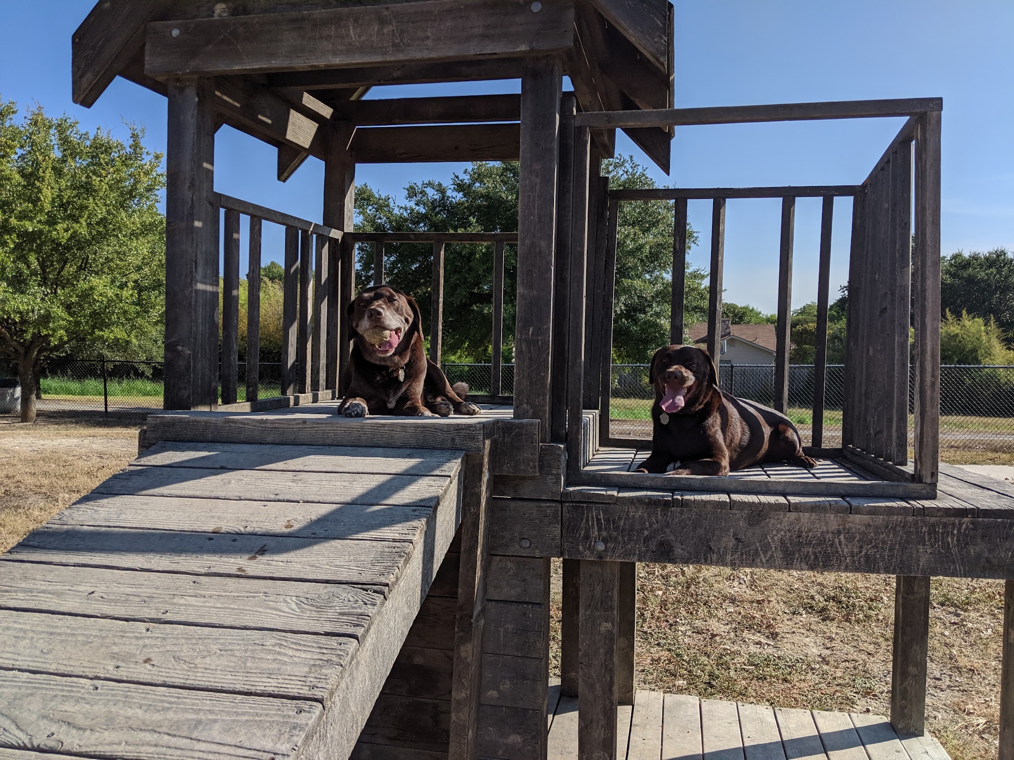 Aina Blake Dog Park - Universal City, TX