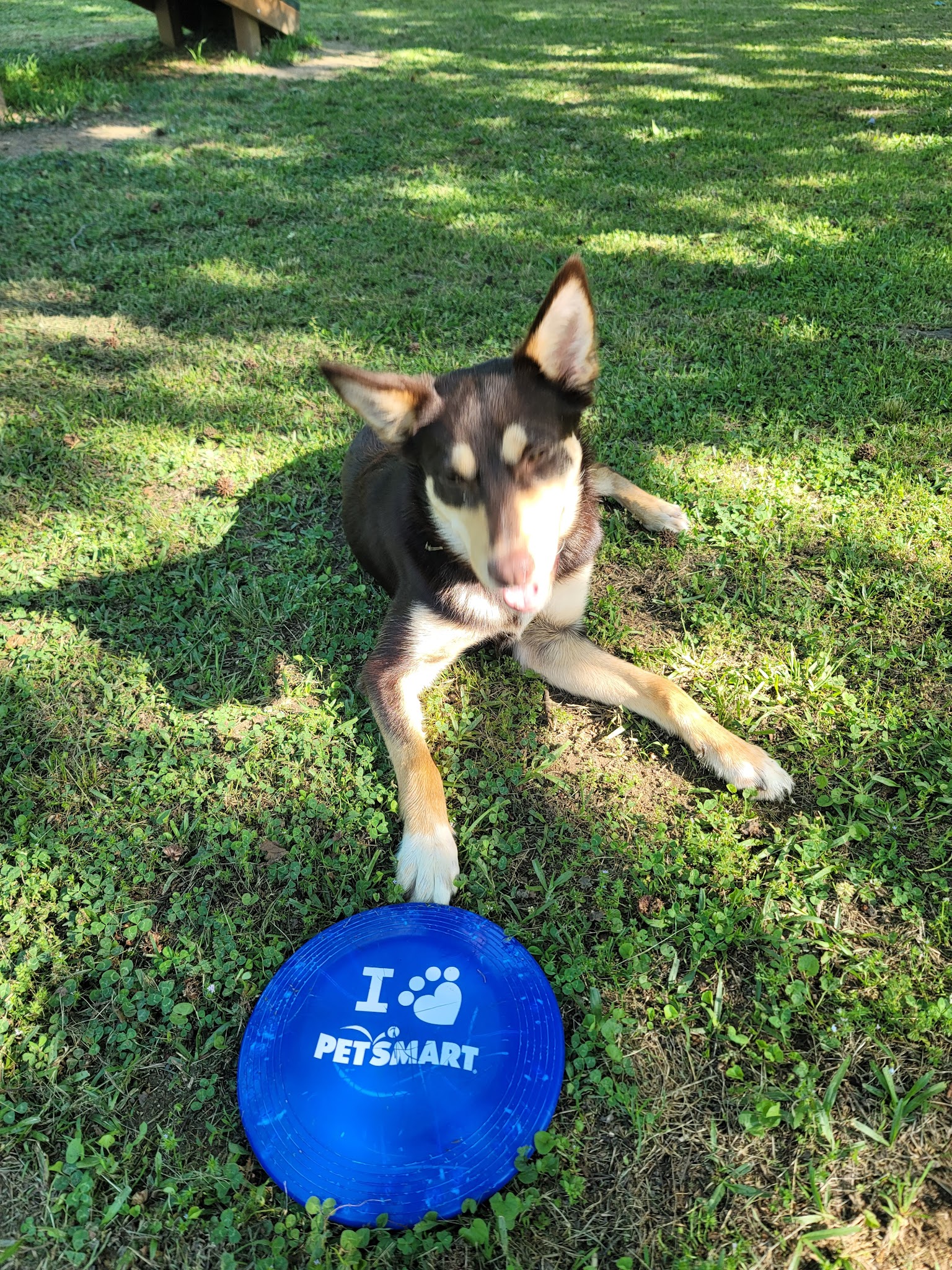 Lovejoy Regional Park - US, GA
