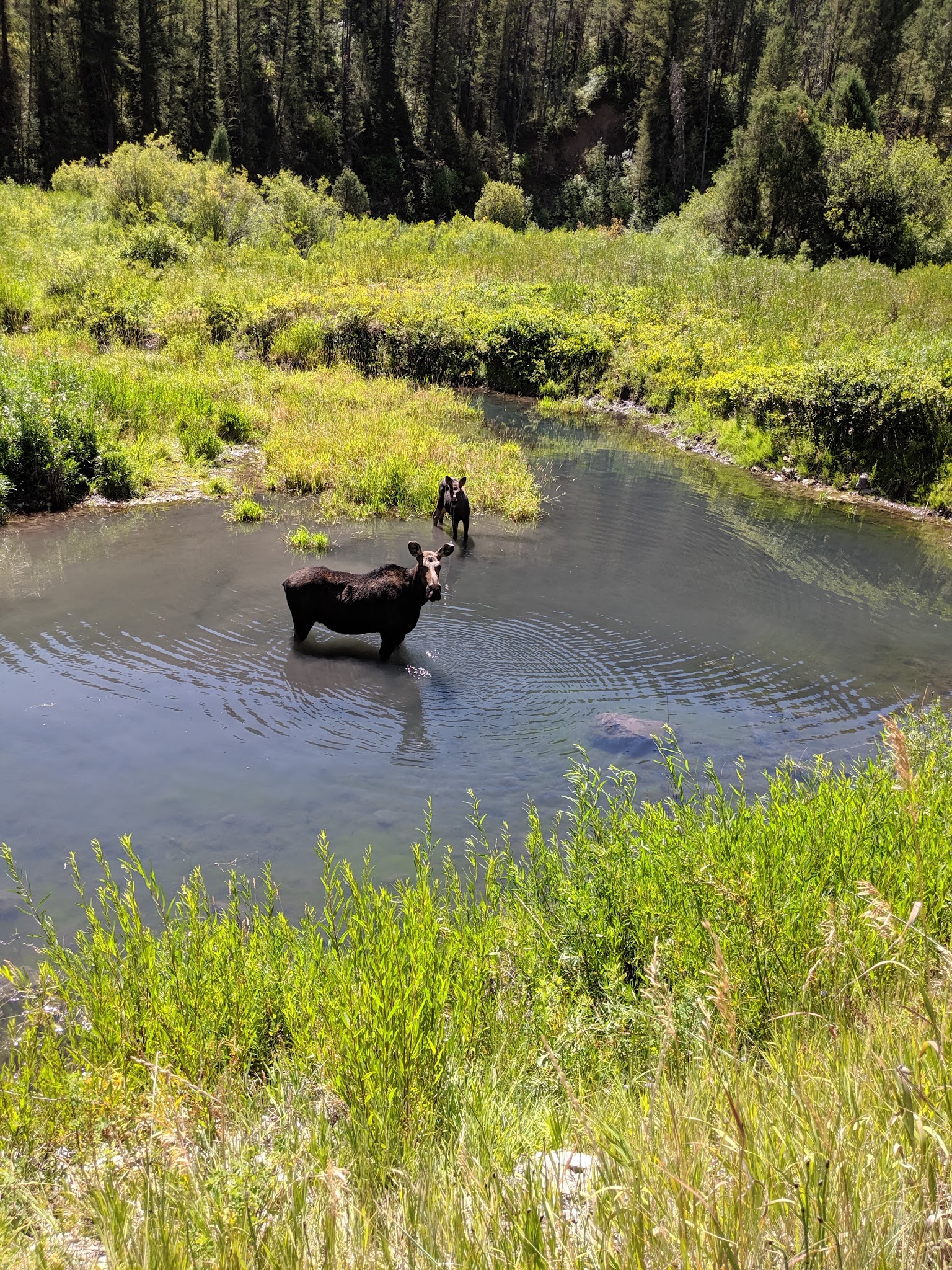 Bear Creek Hot Springs Trailhead - US, ID