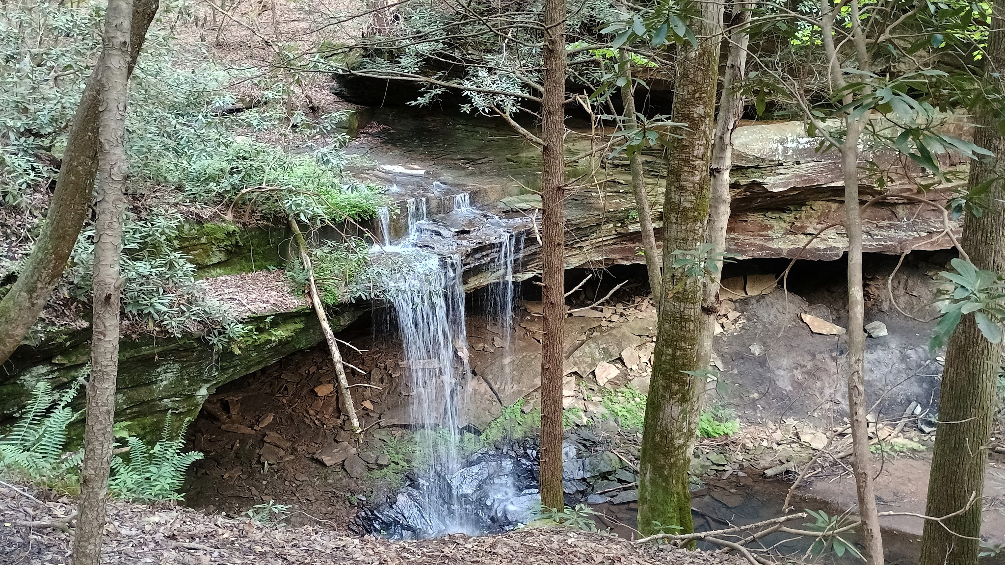 Dog Branch Falls - US, KY