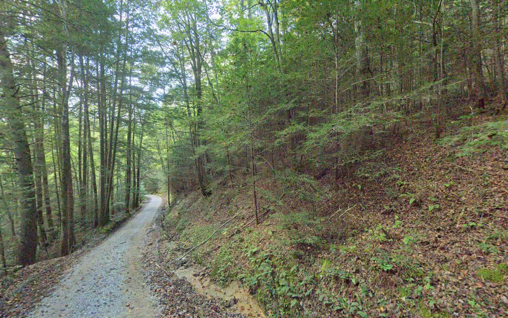 Dog Branch Falls - US, KY