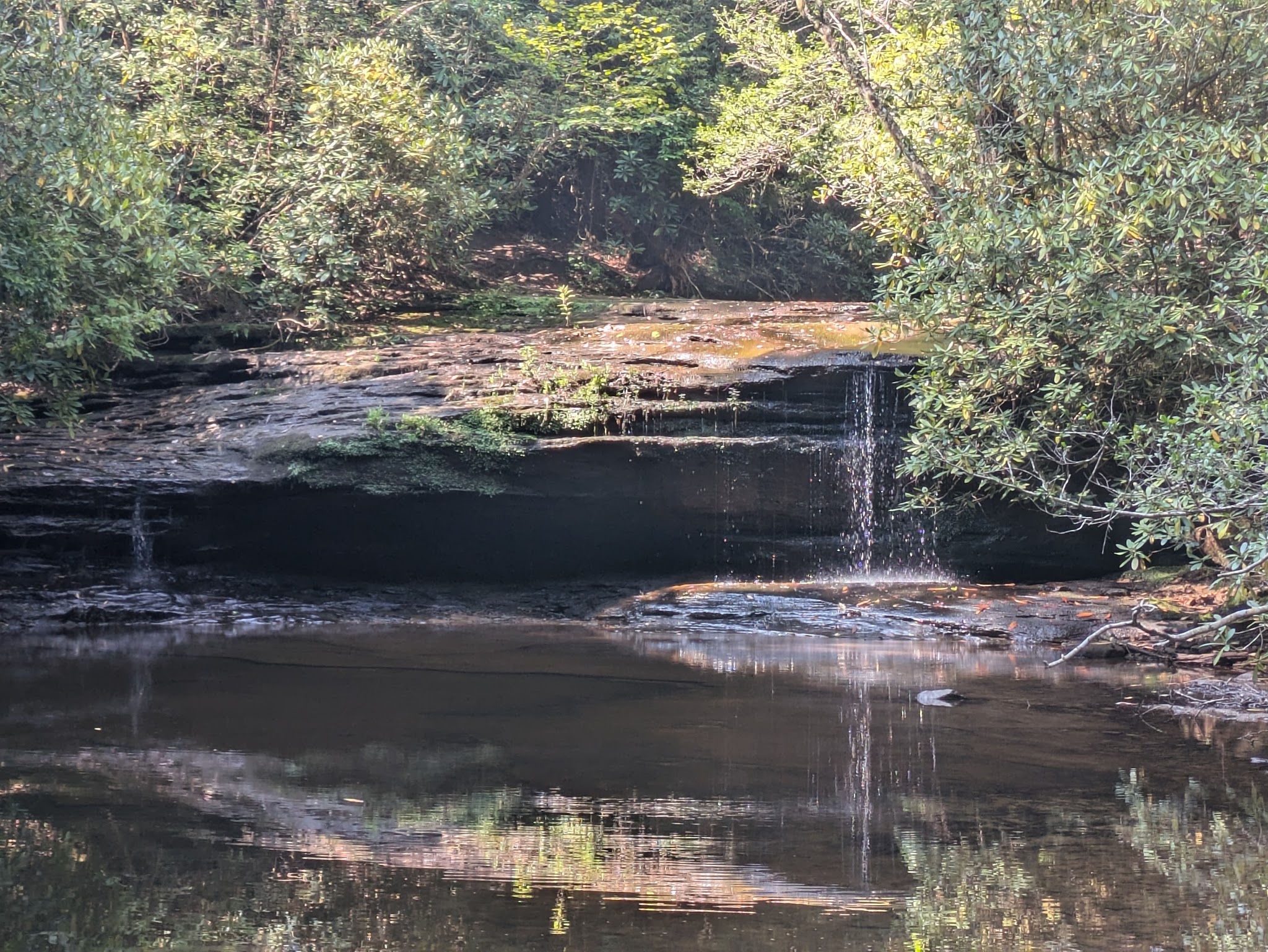 Dog Branch Falls - US, KY