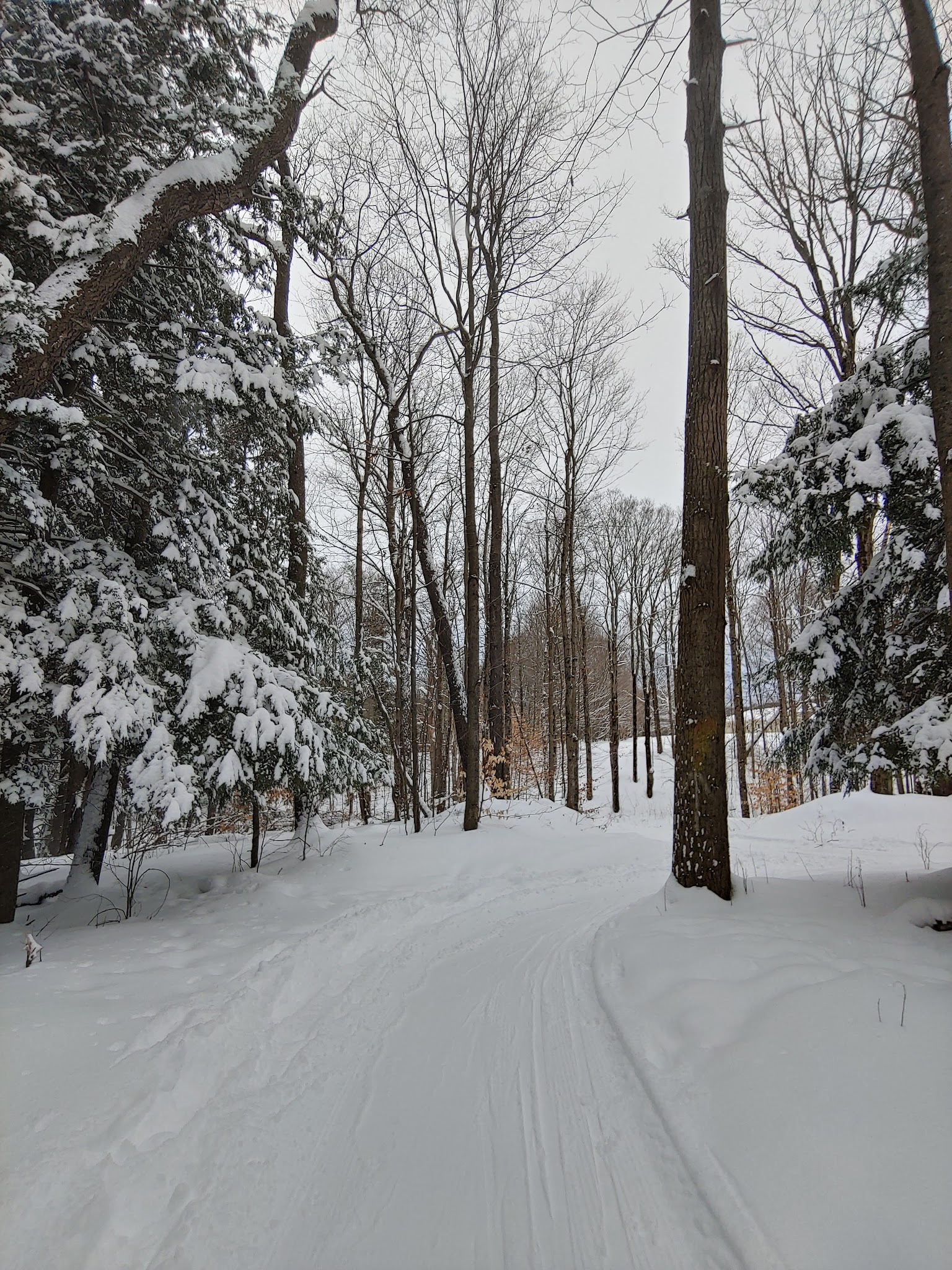 Wilderness Park - Utica, NY