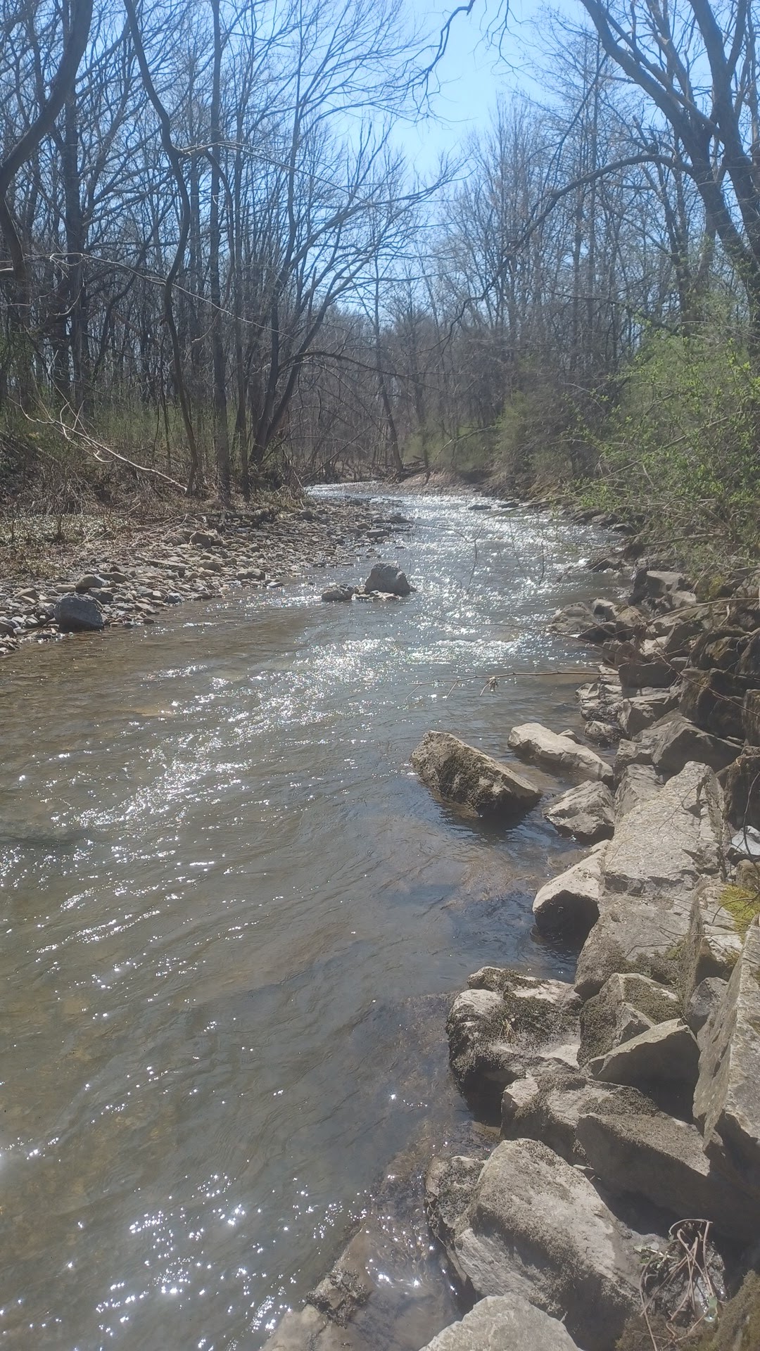 TR Proctor Park - Utica, NY