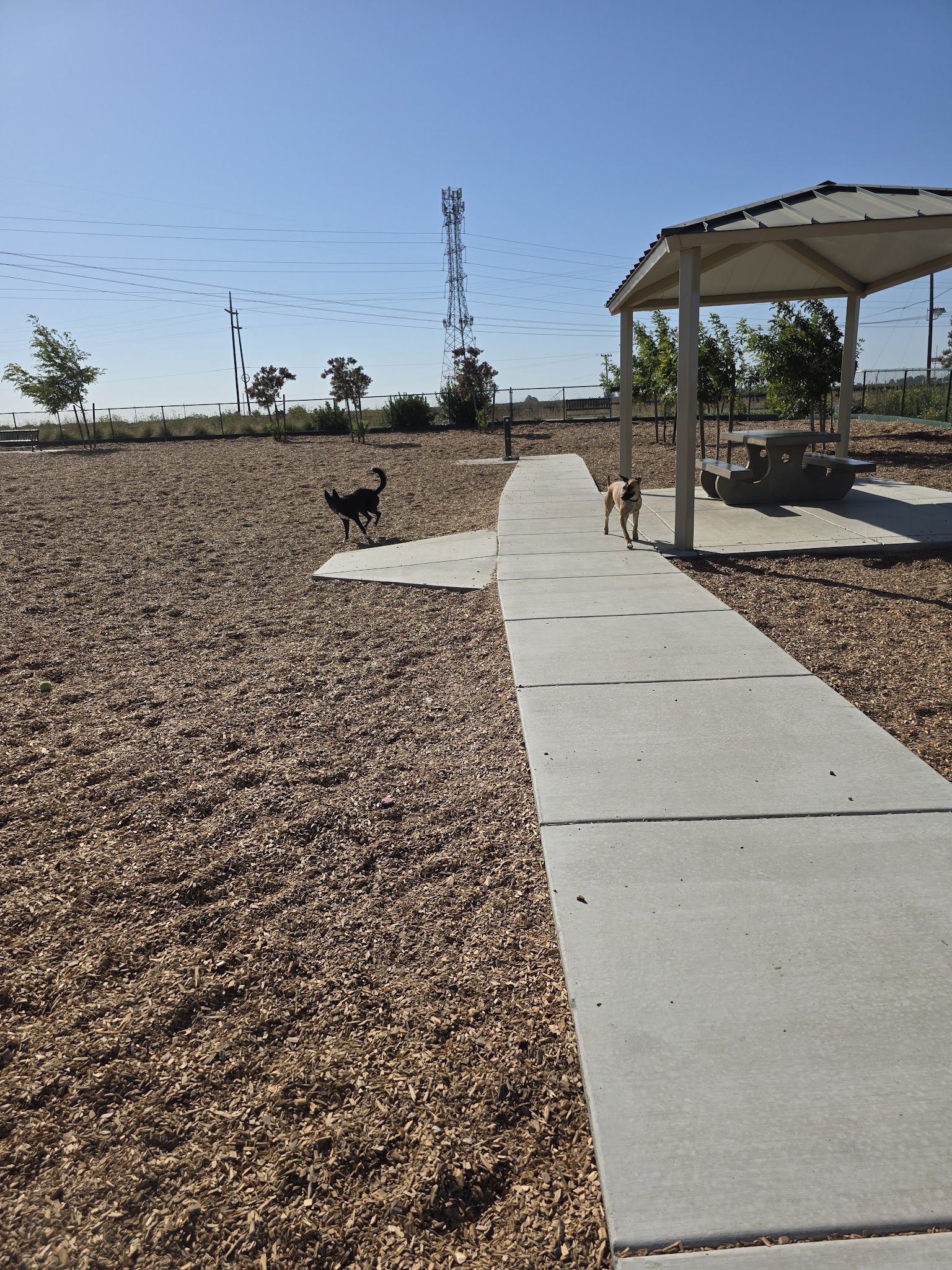 Owl Park Off-Leash Facility - Vacaville, CA