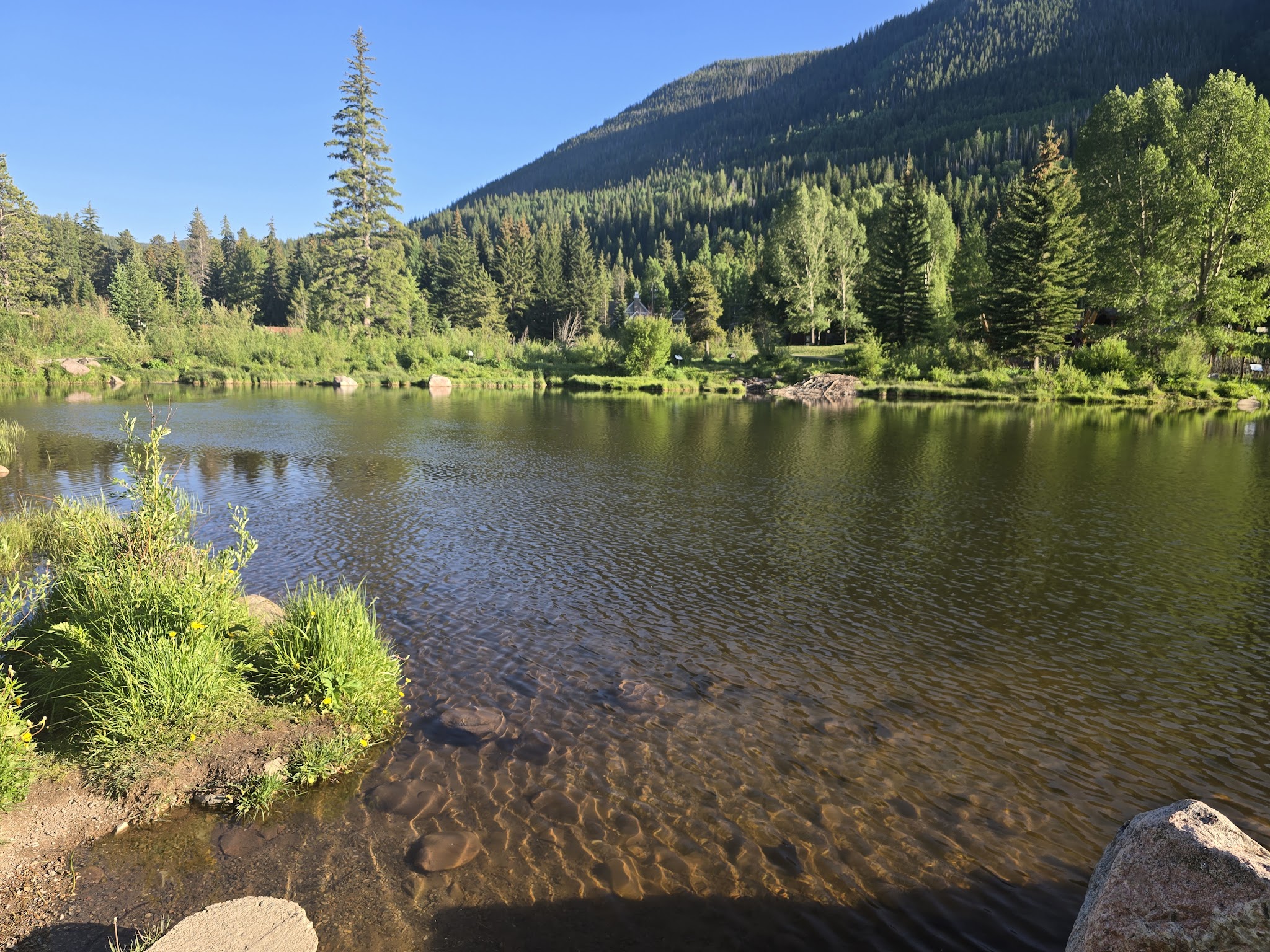 Bighorn Park - Vail, CO