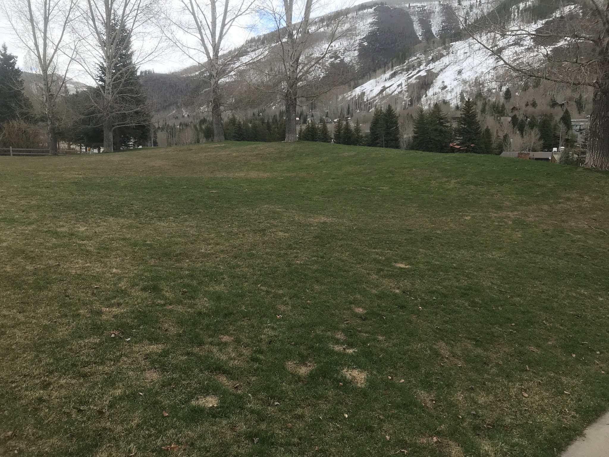 Buffehr Creek Park - Vail, CO