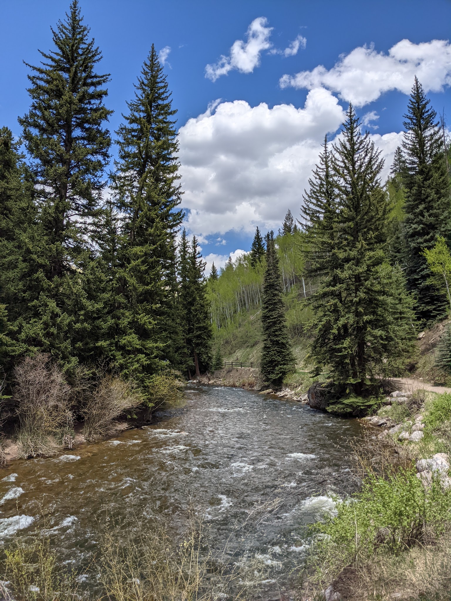 Stephens Park - Vail, CO