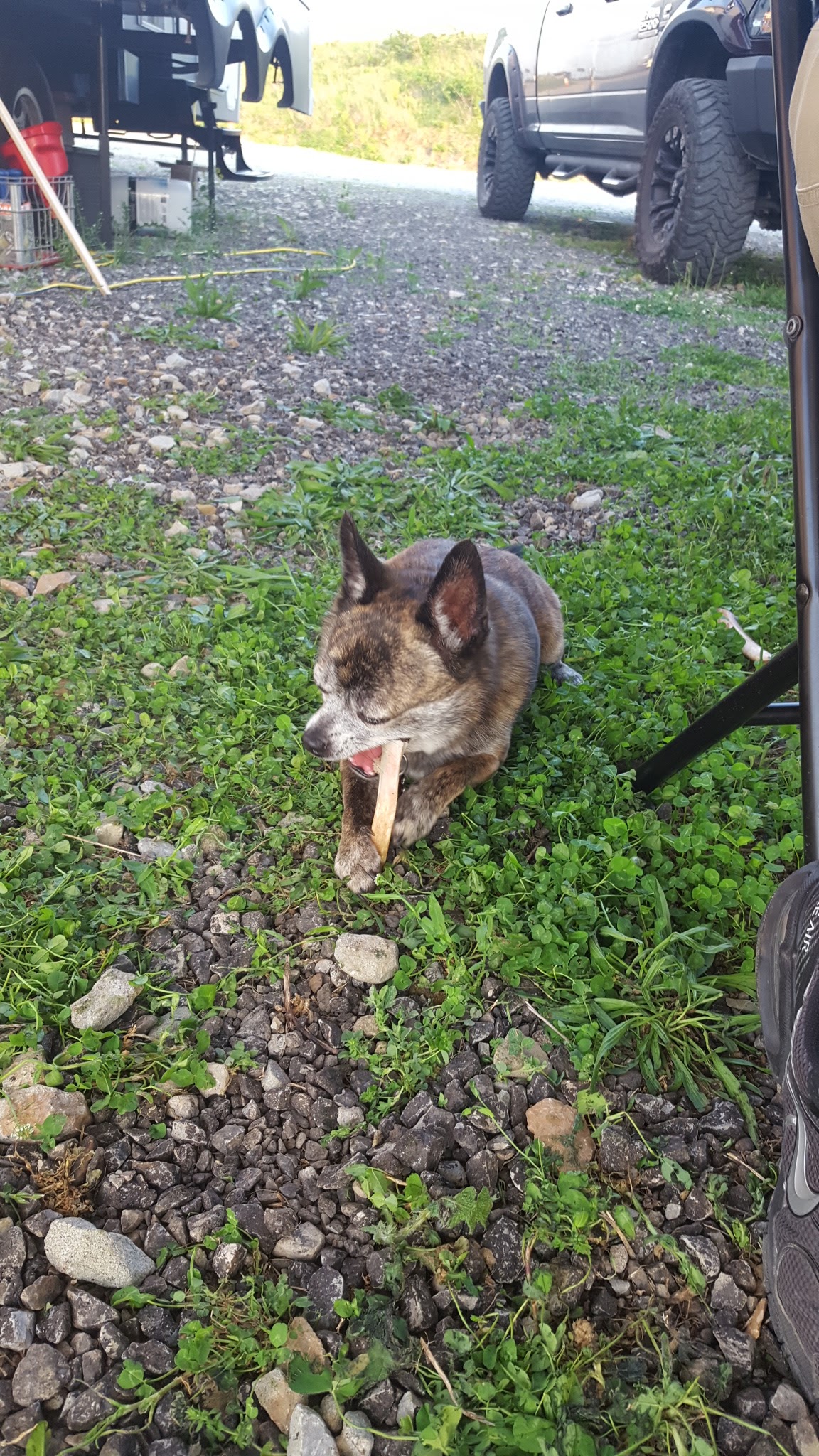 Ernies Acres Campground - Valley Grove, WV