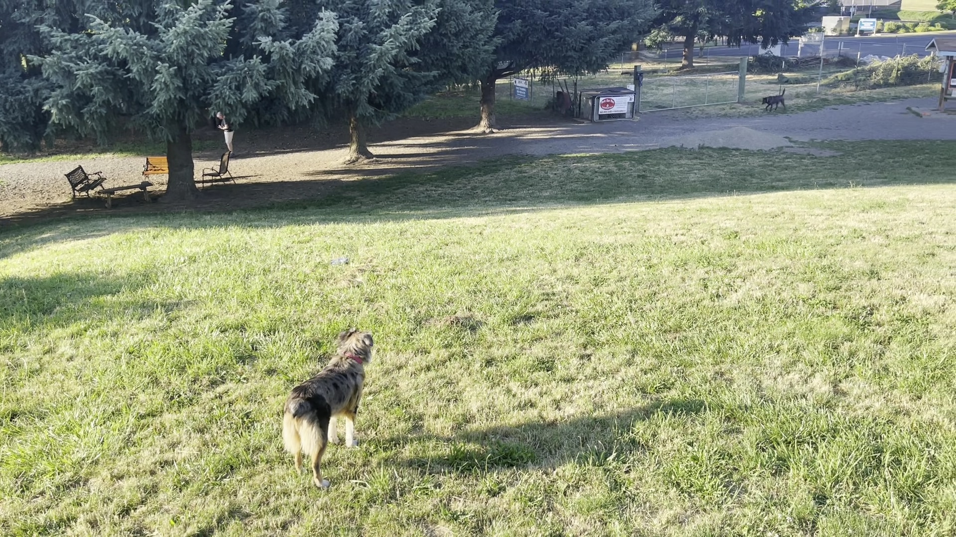 Ike Memorial Park - Vancouver, WA