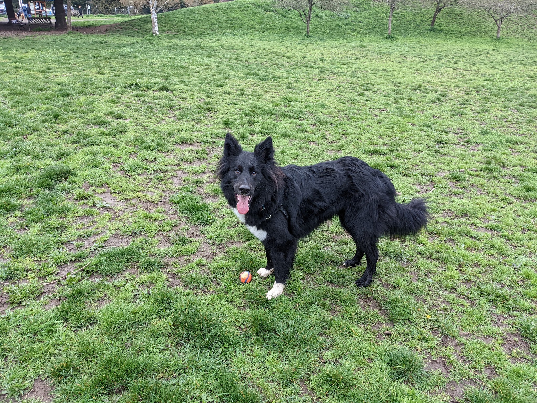 Ike Memorial Park - Vancouver, WA