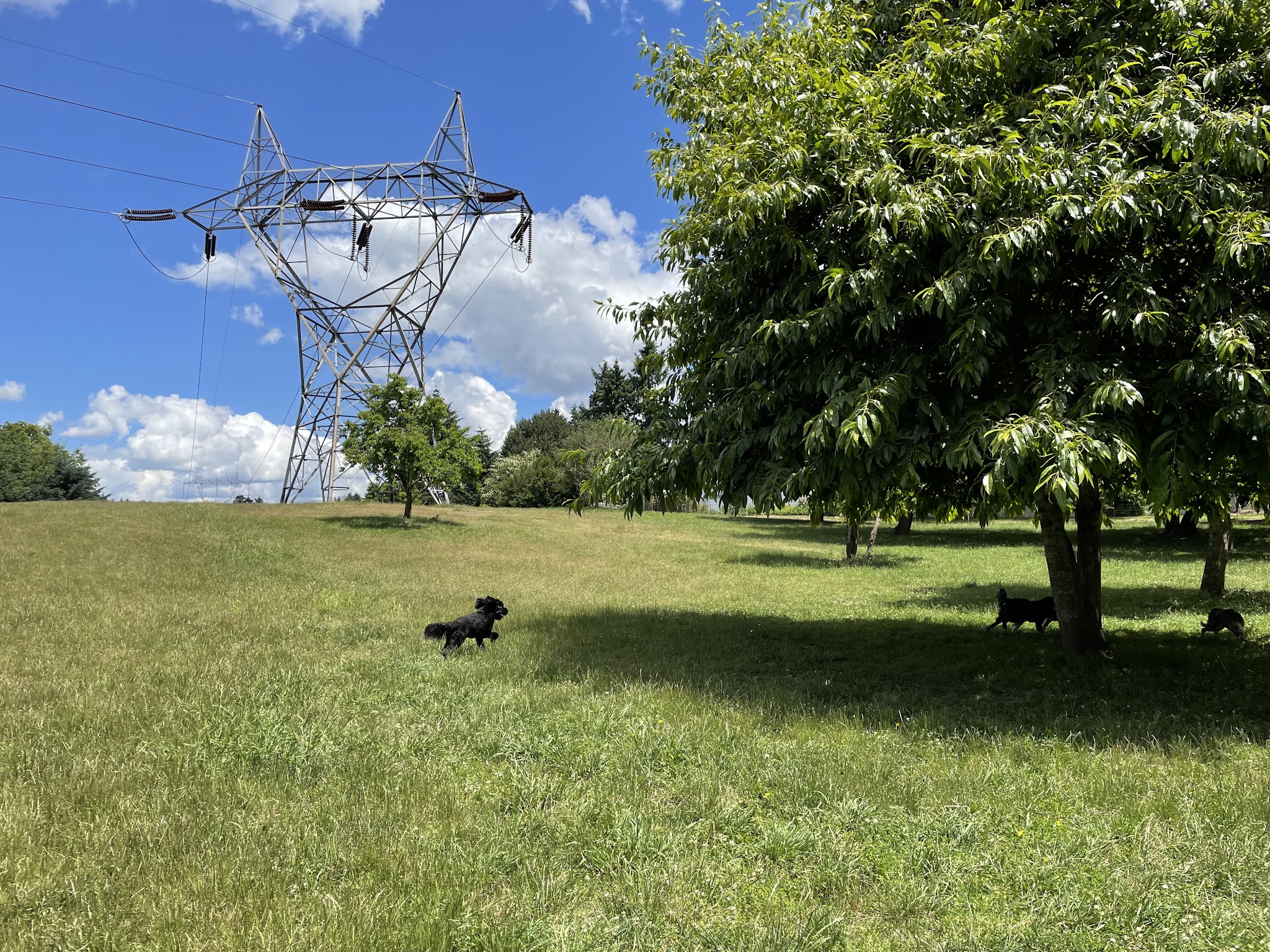 Ike Memorial Park - Vancouver, WA