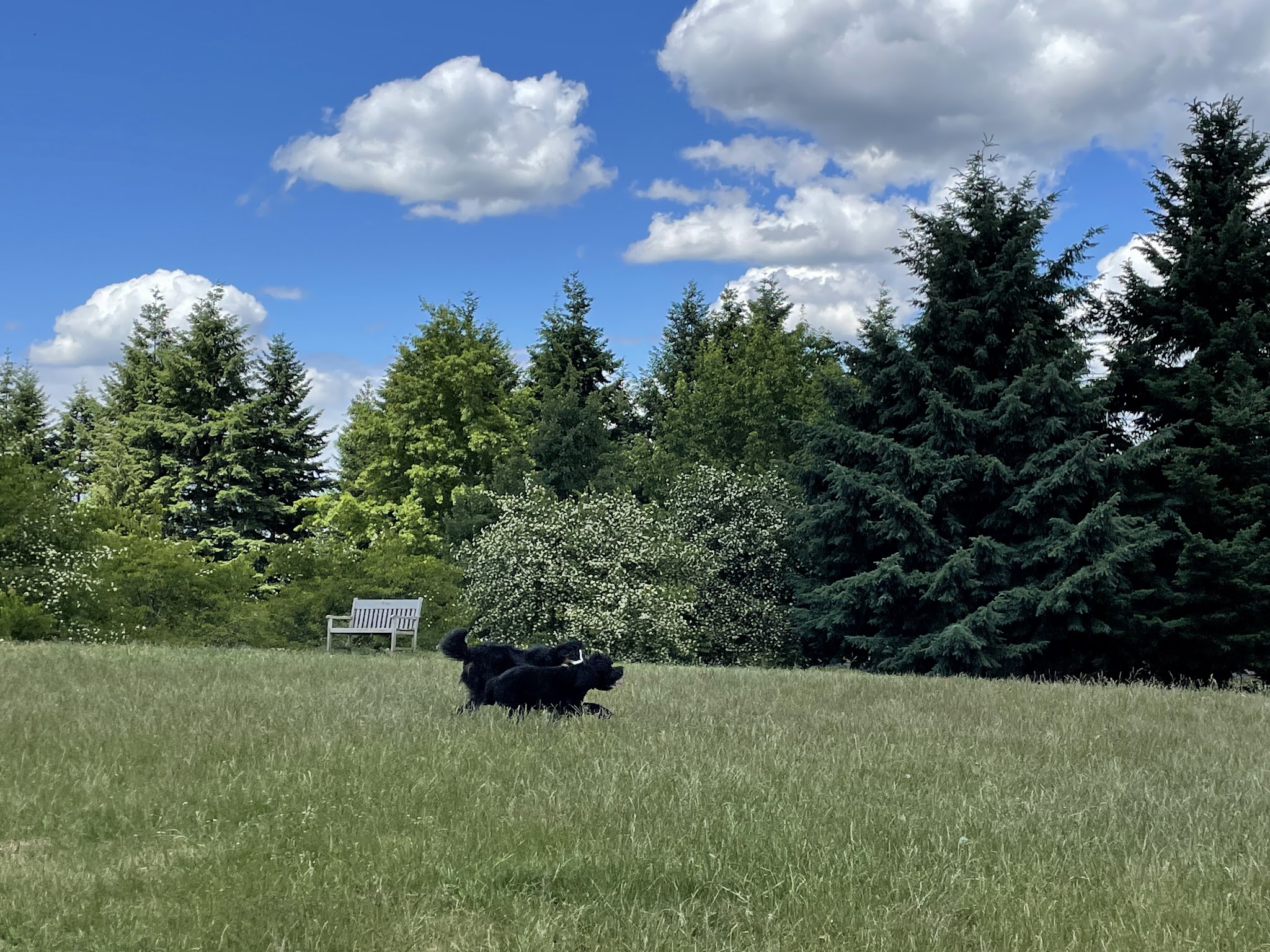 Ike Memorial Park - Vancouver, WA