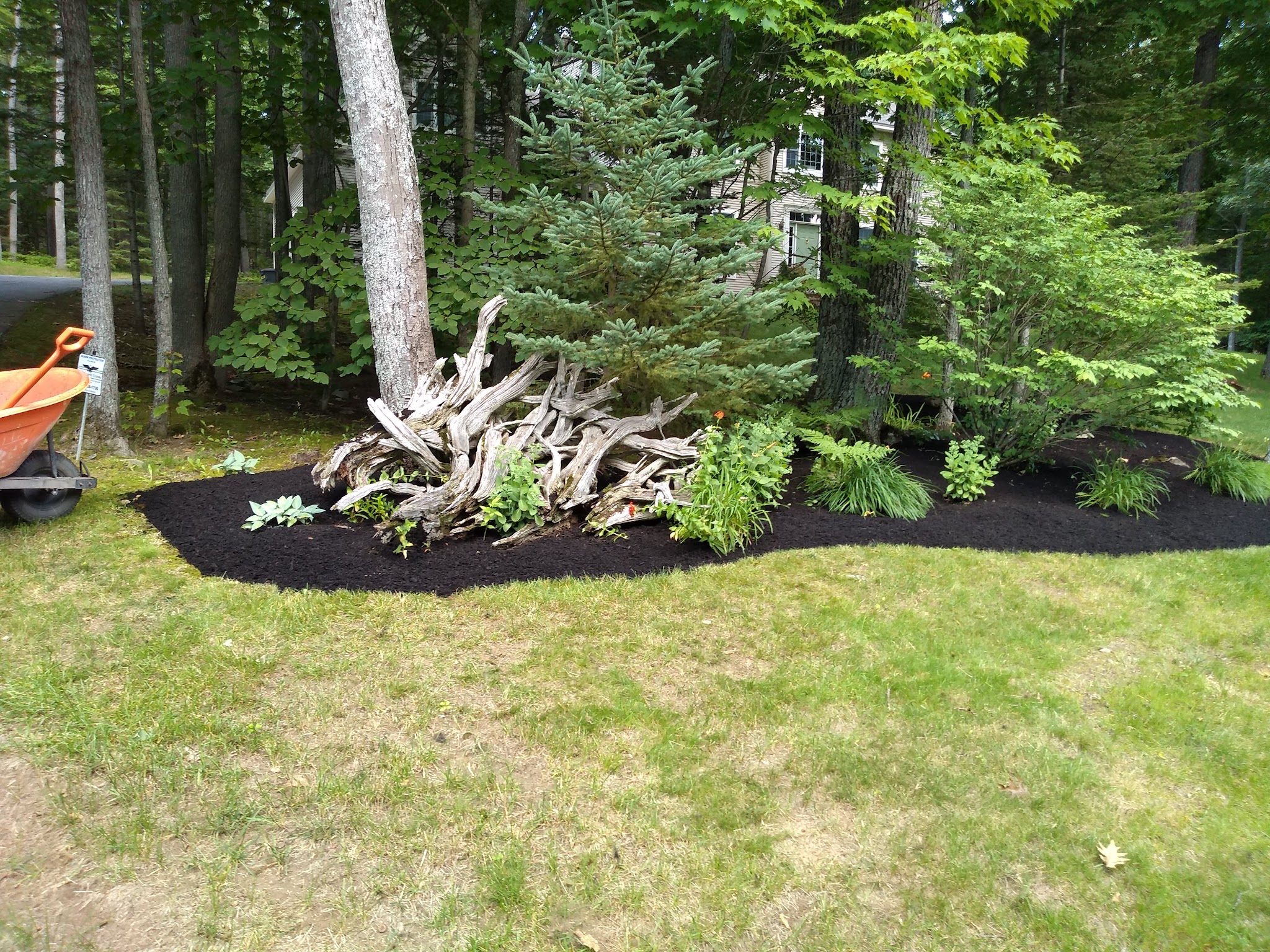 Buck Hill Conservation Area - Veazie, ME