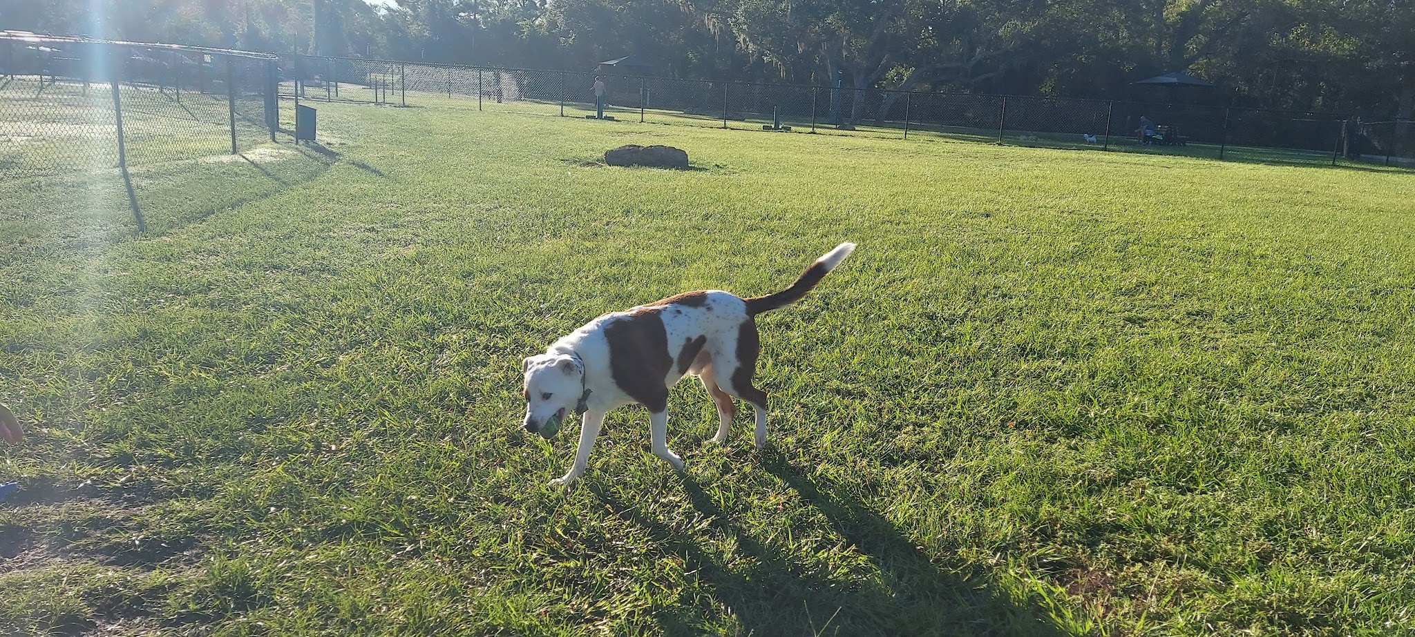 Blue Heron Park - Venice, FL