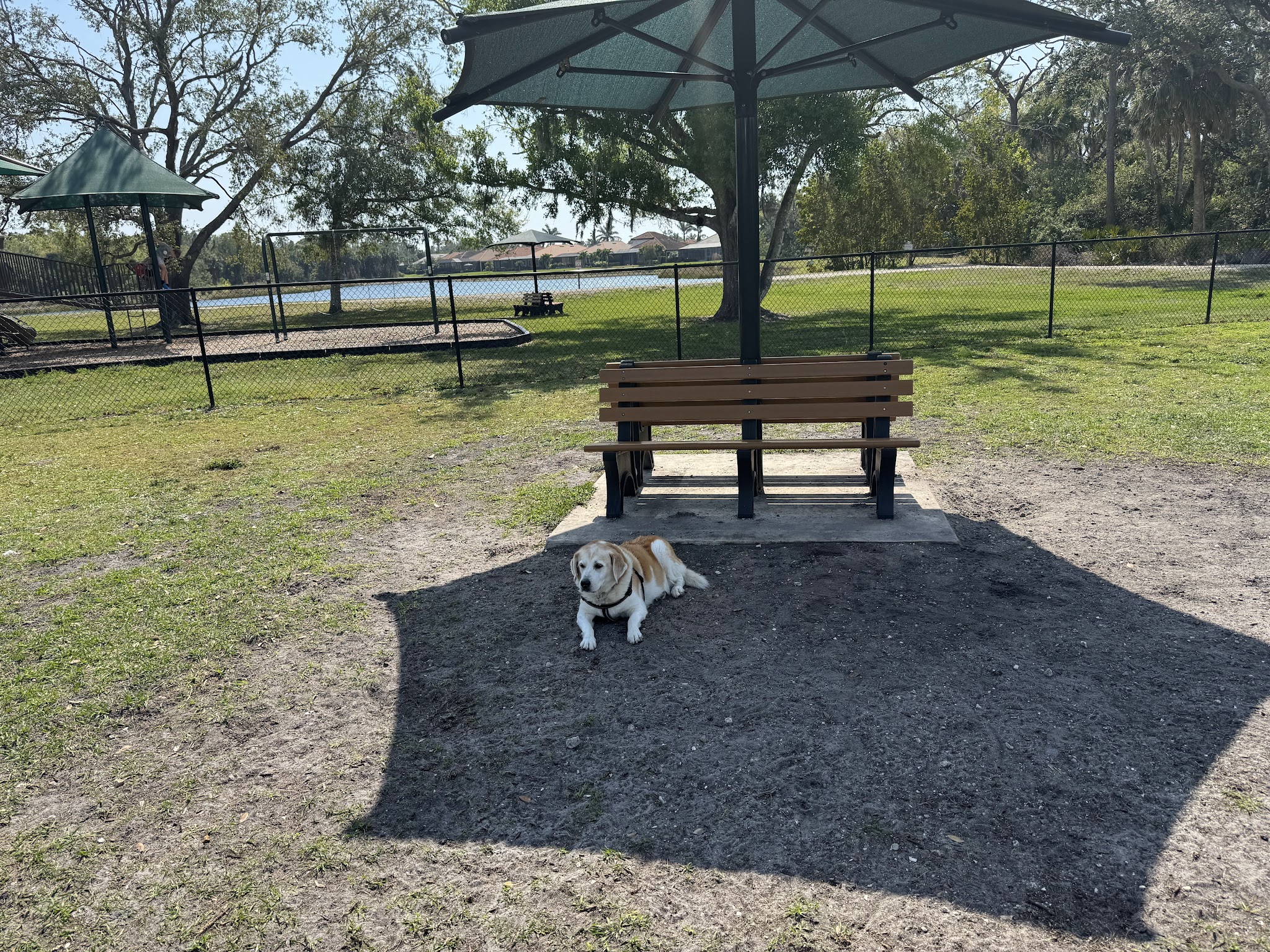 Blue Heron Park - Venice, FL