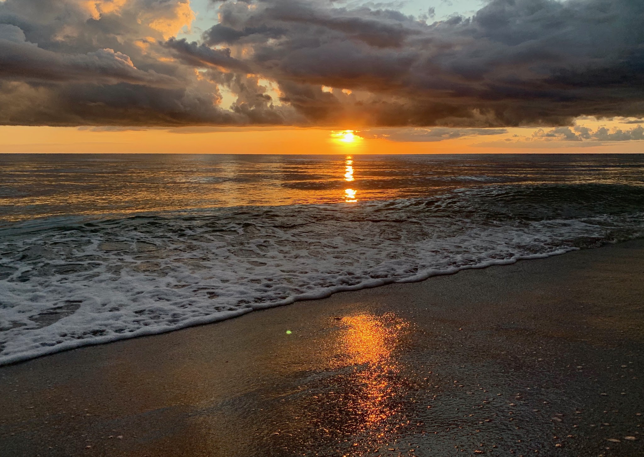 South Brohard Beach Paw Park - Venice, FL