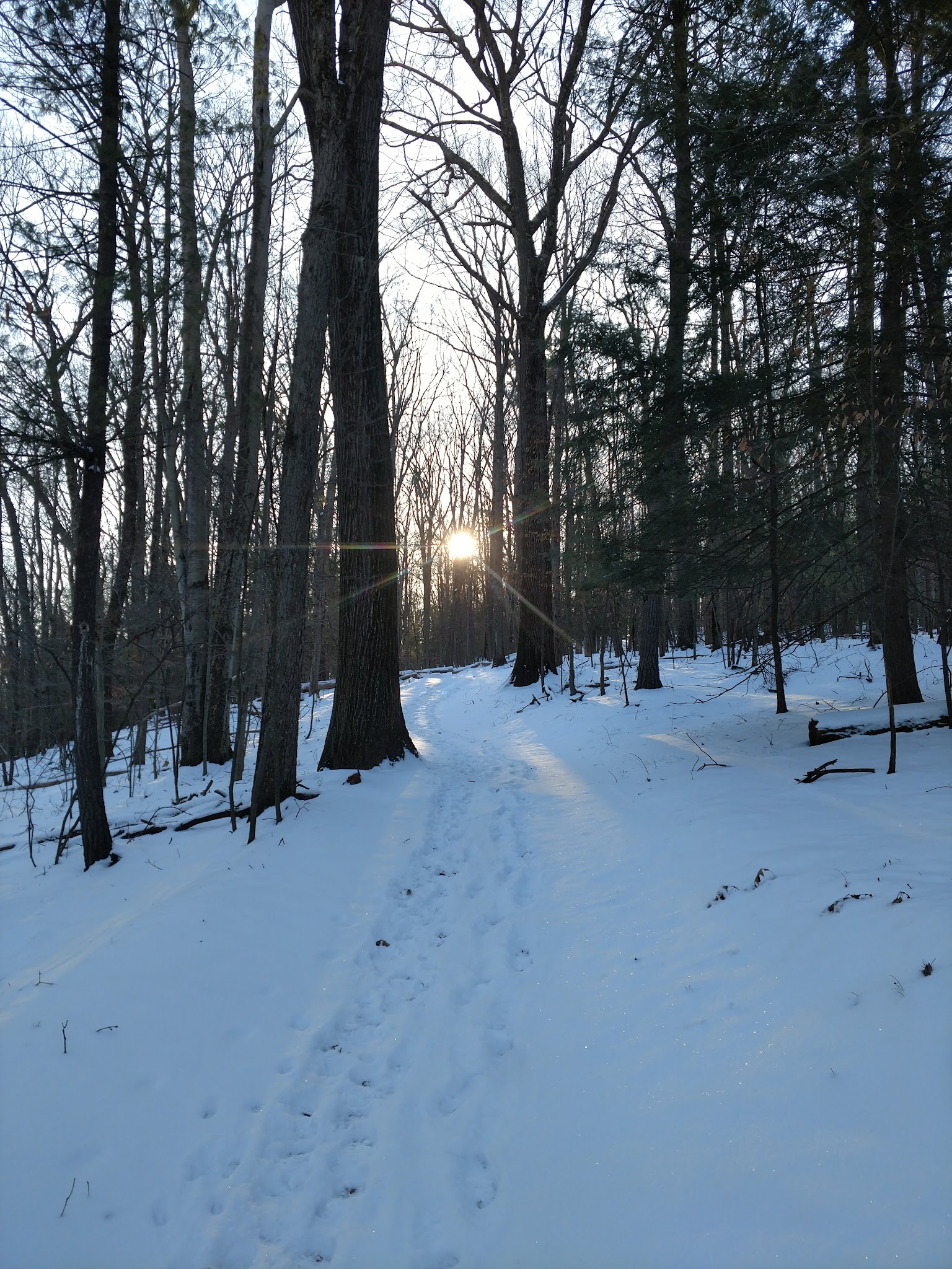 Arnold Park - Vestal, NY