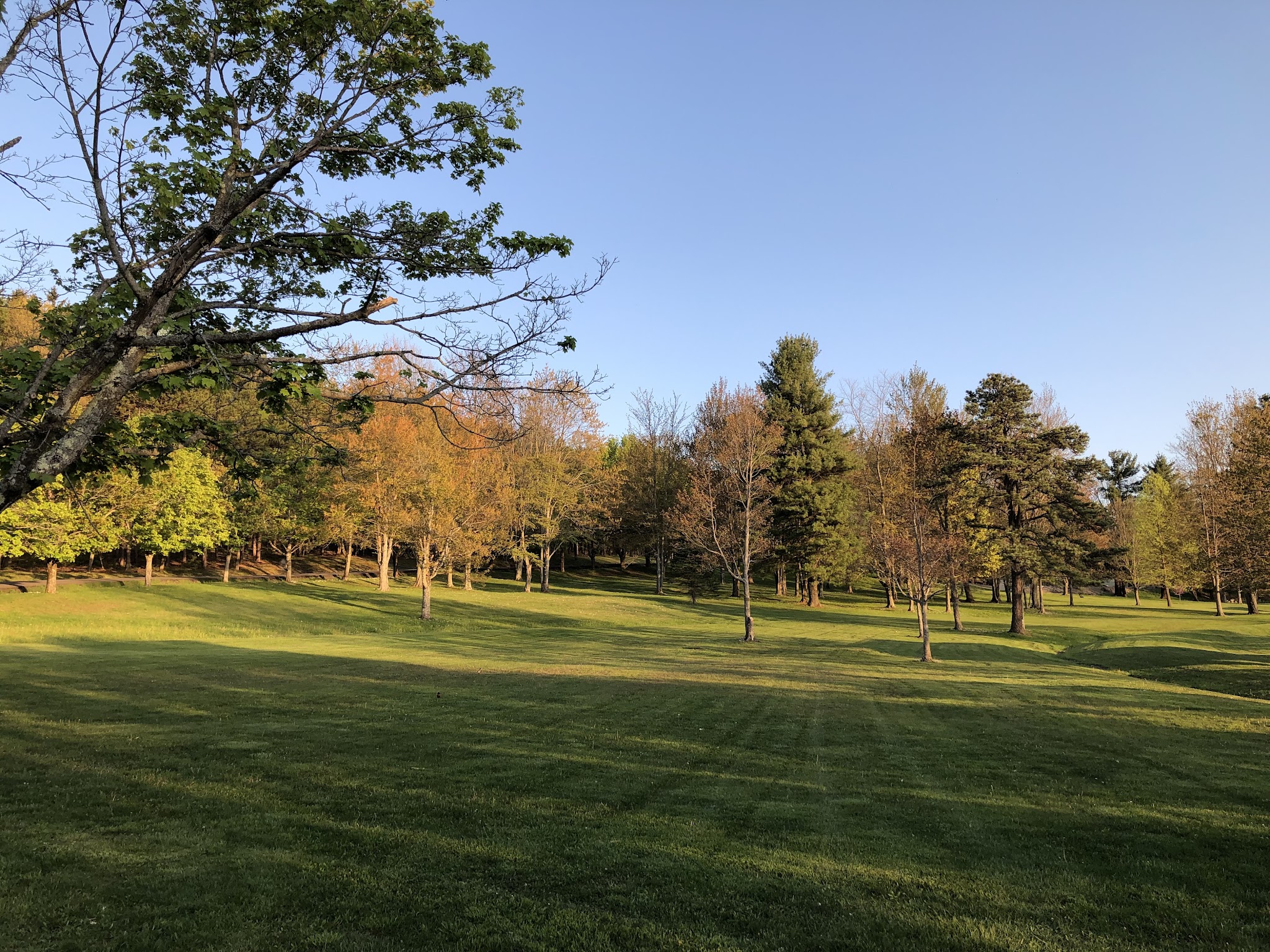 Arnold Park - Vestal, NY