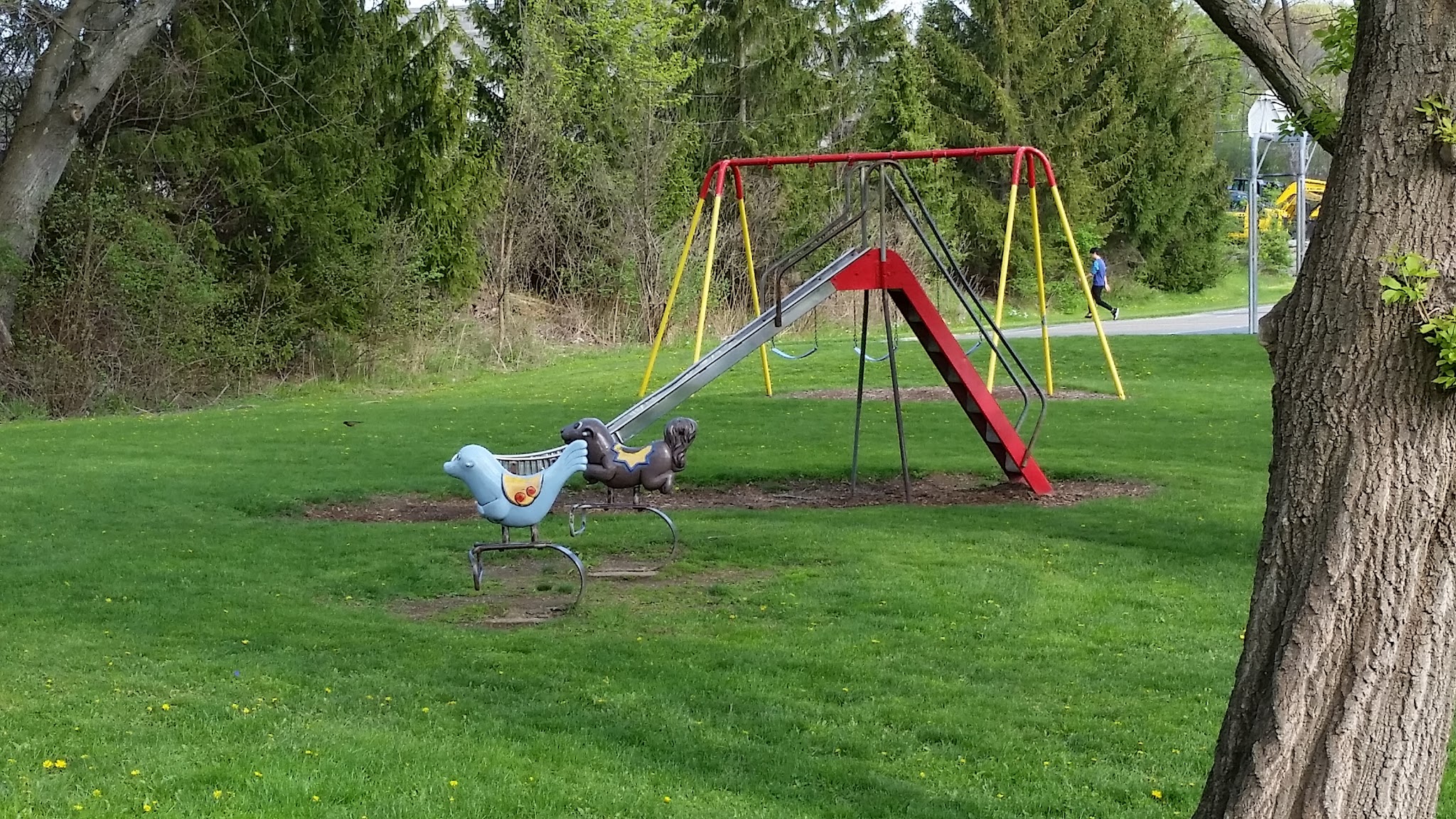 Harold Moore Park - Vestal, NY