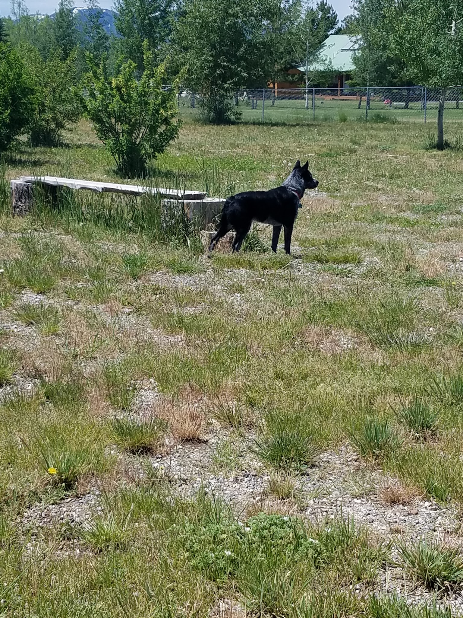 Sherman Park - Victor, ID
