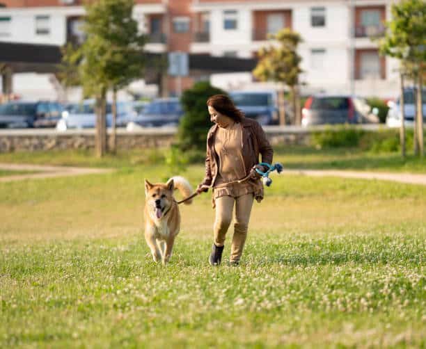 Reserve Dog Park - Vienna, VA