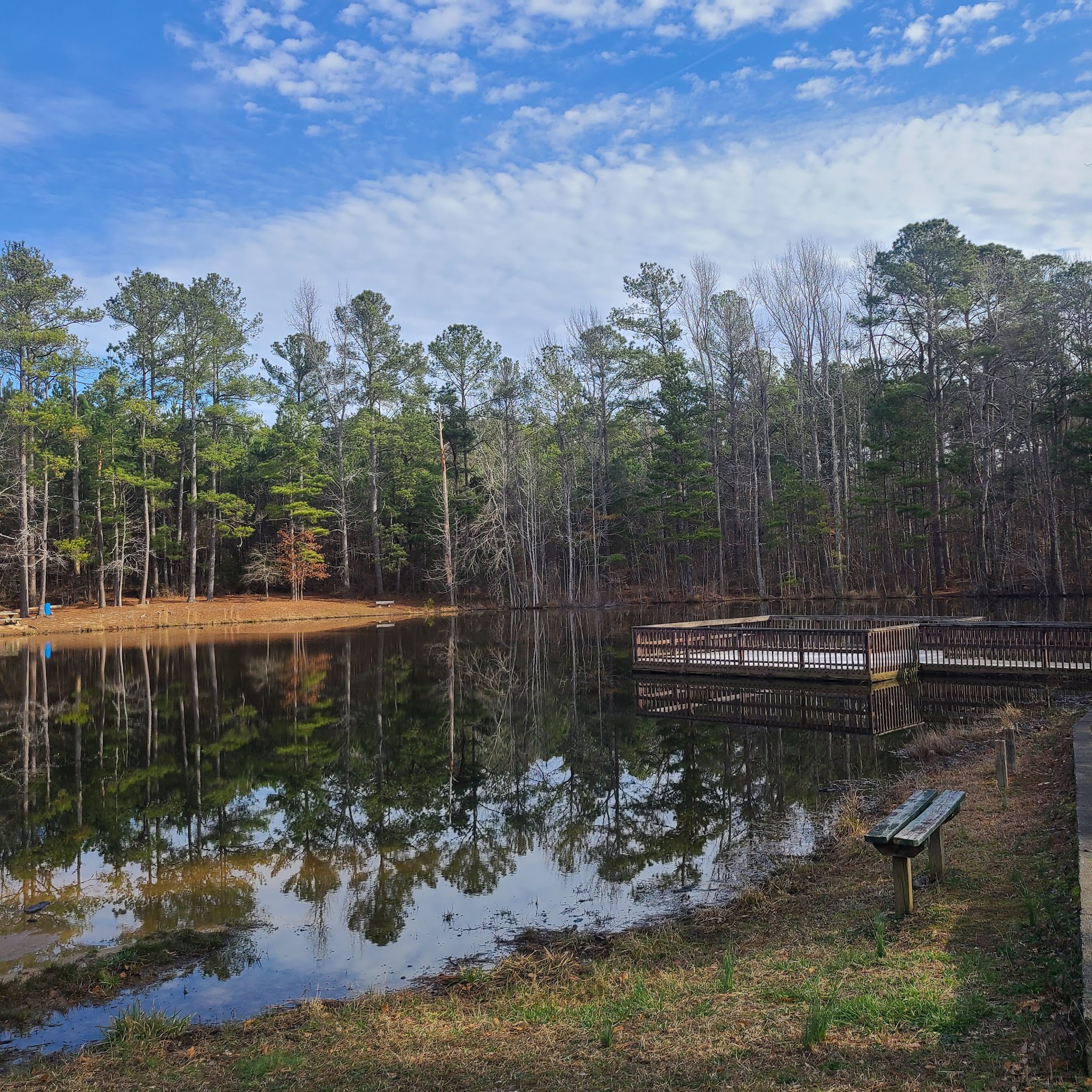 Clinton Nature Preserve - Villa Rica, GA