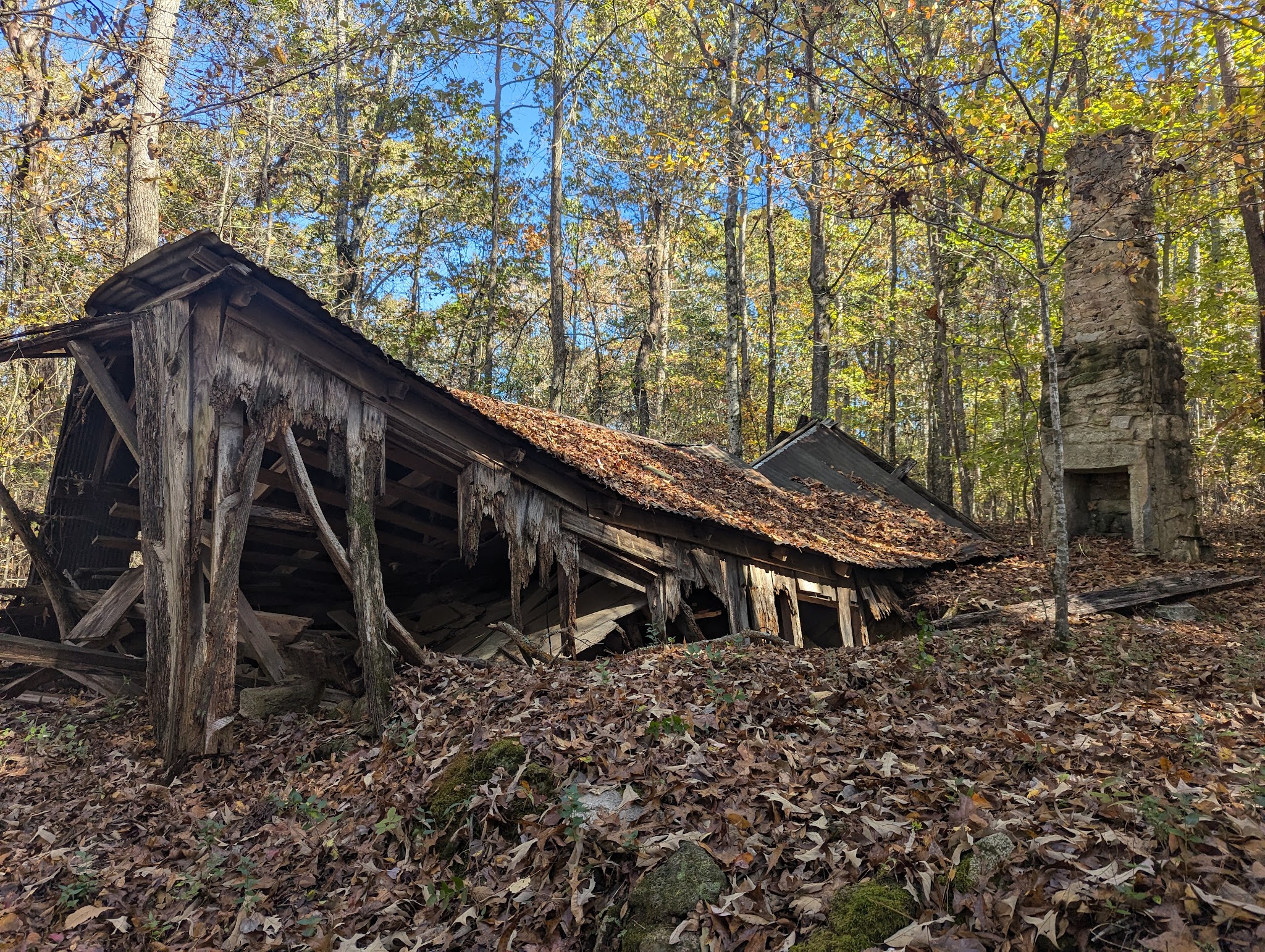 Clinton Nature Preserve - Villa Rica, GA