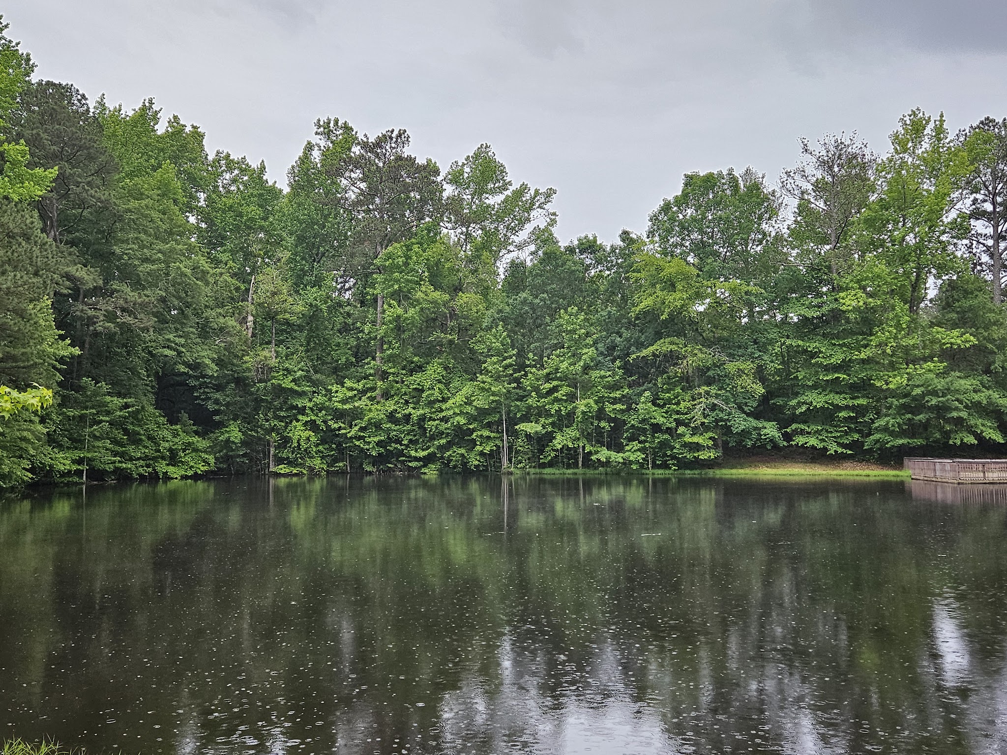 Clinton Nature Preserve - Villa Rica, GA