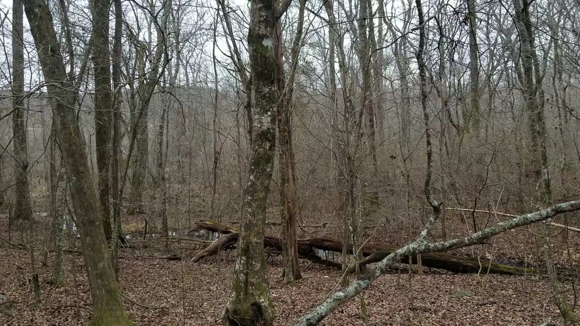 Clinton Nature Preserve - Villa Rica, GA