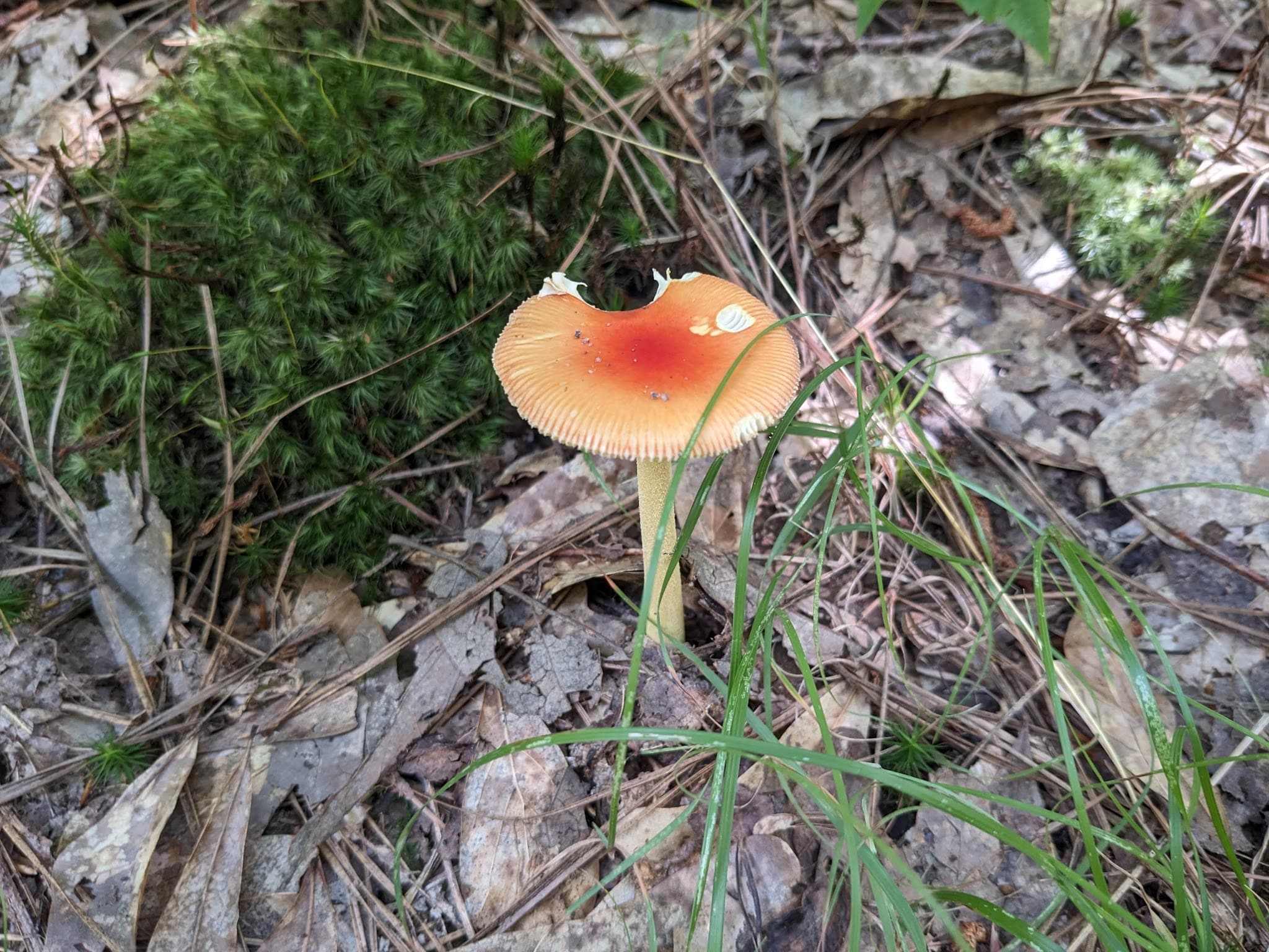 Park - Villa Rica, GA