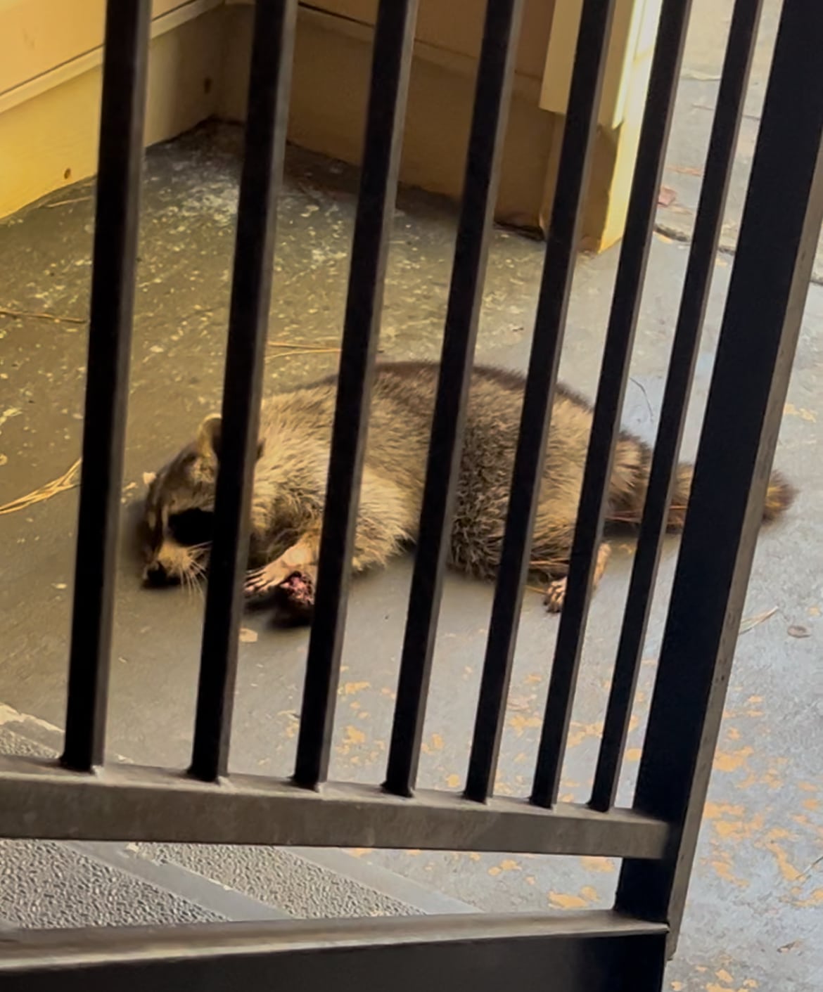 Wildwood At Villa Rica - Villa Rica, GA