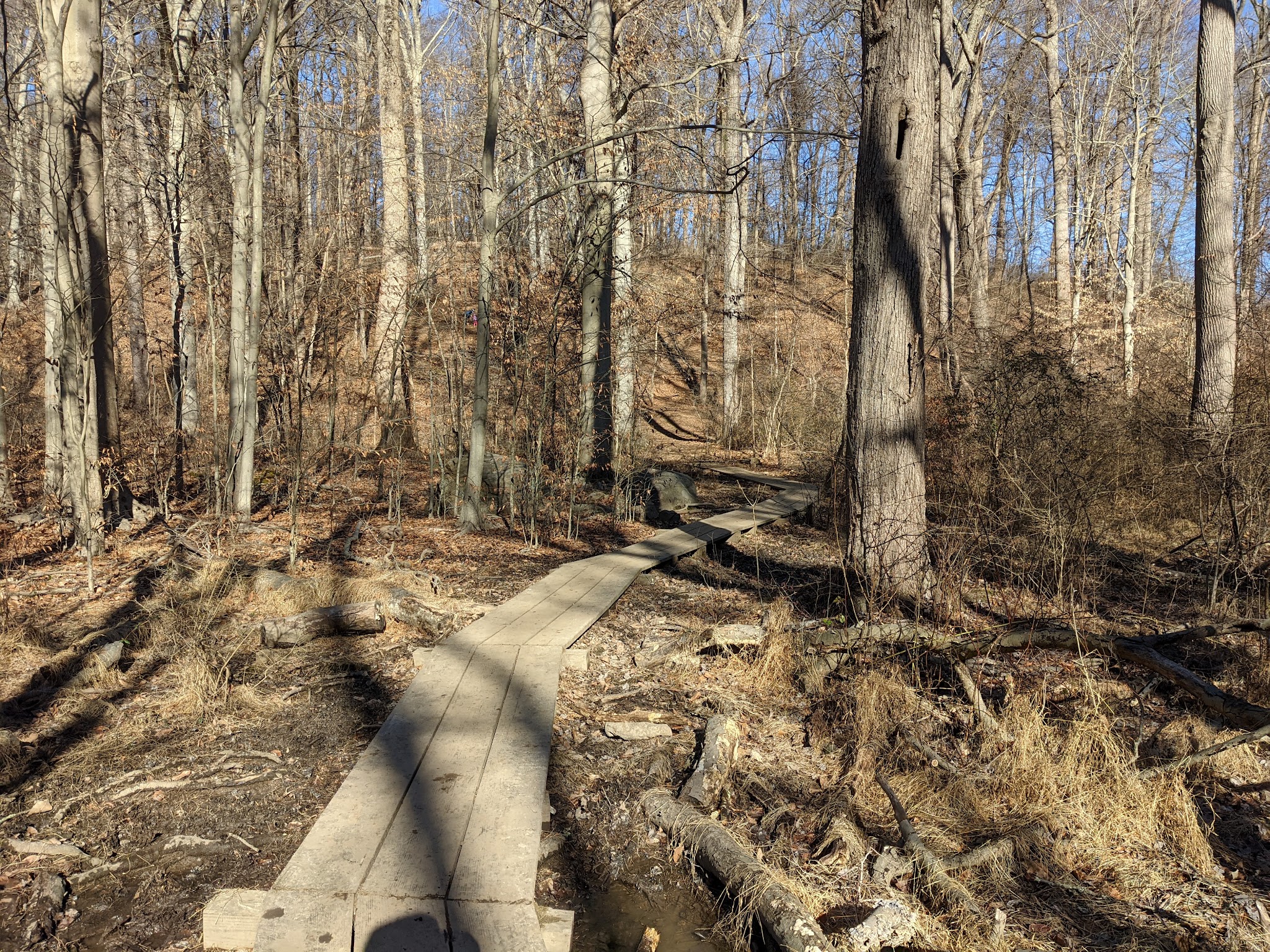 Skunk Hollow Park - Villanova, PA