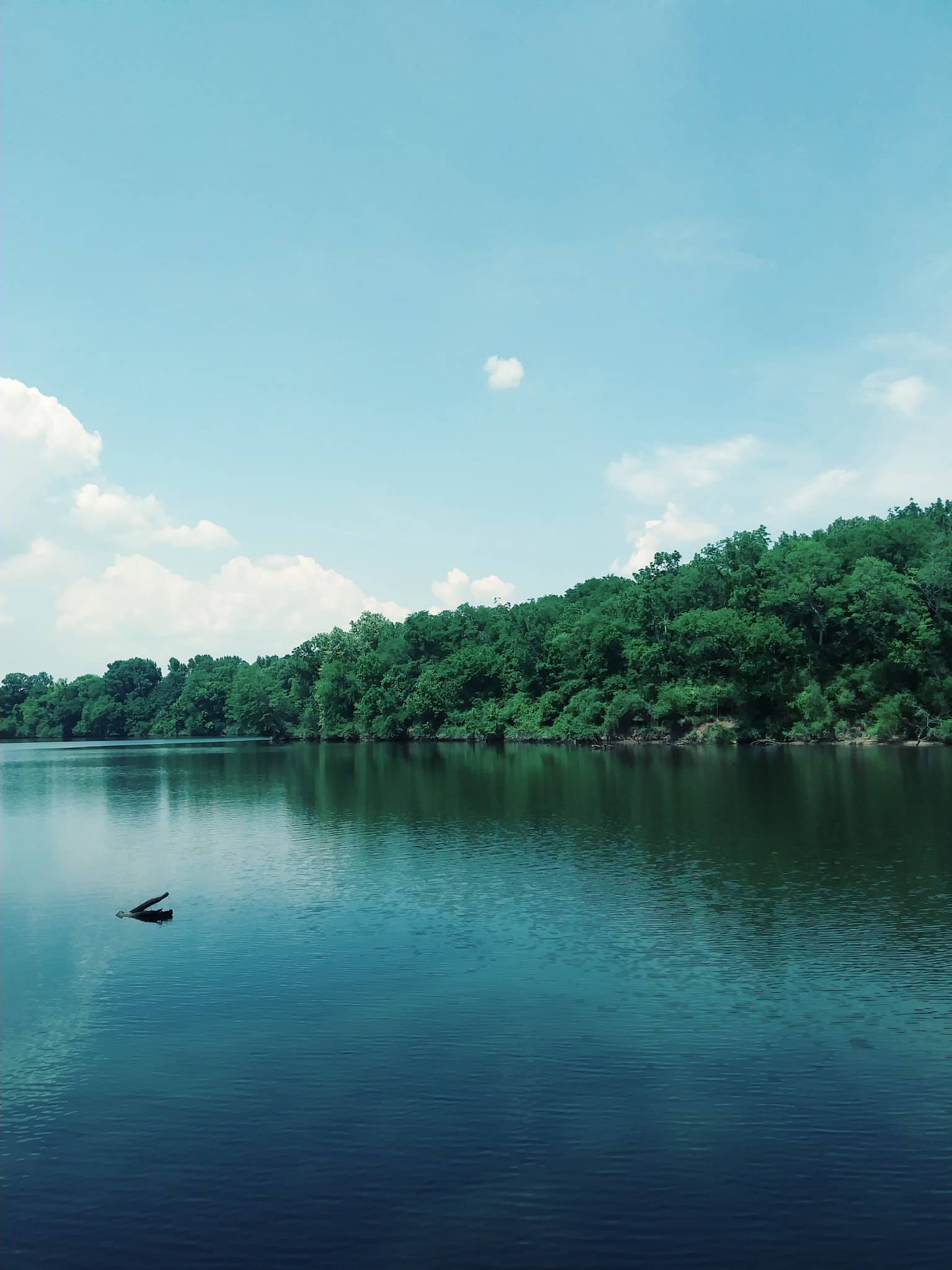 Gorman Park - Vincent, AL