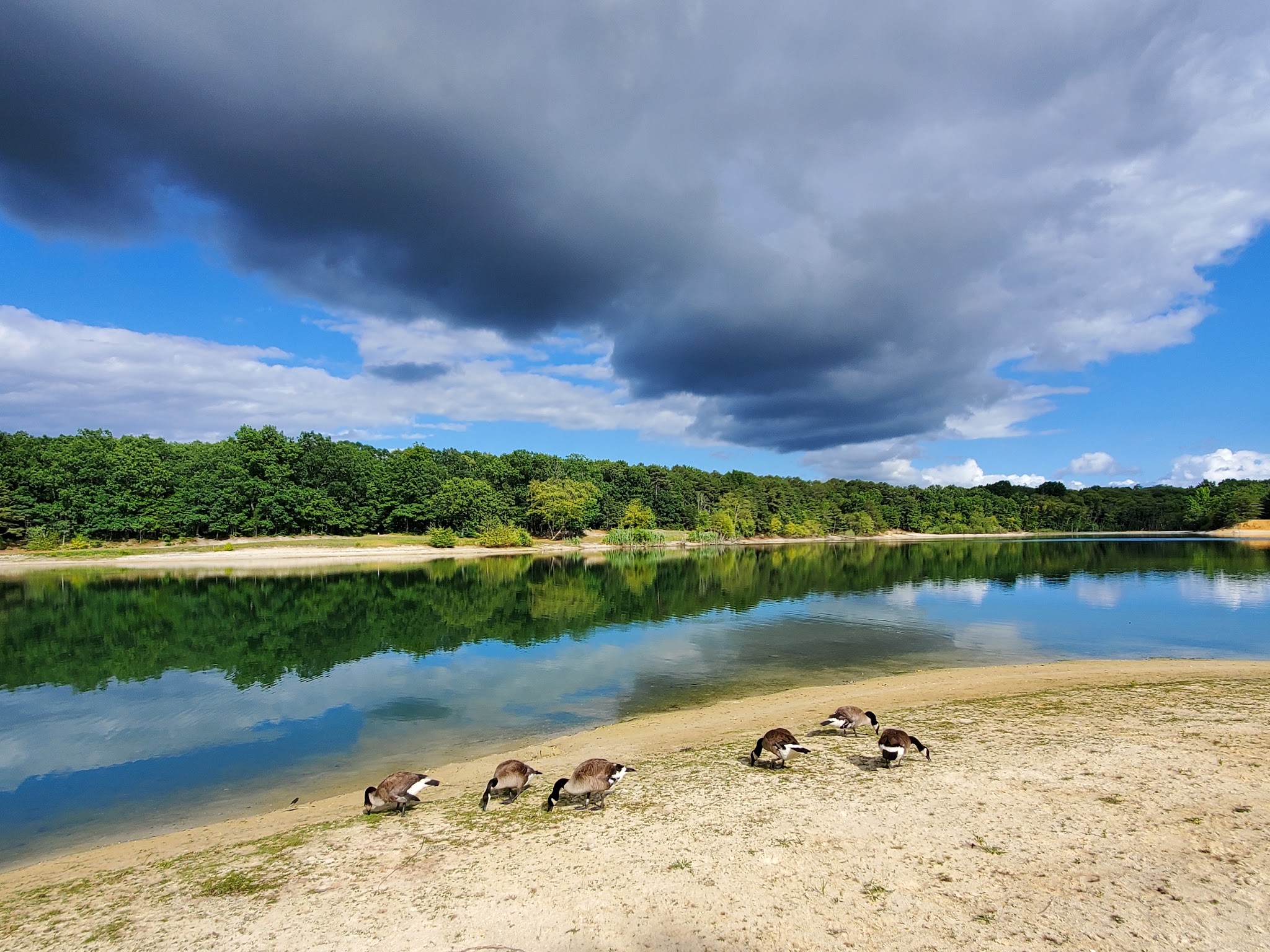 South Vineland Park - Vineland, NJ