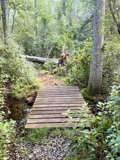 Willow Oak Natural Area - Vineland, NJ