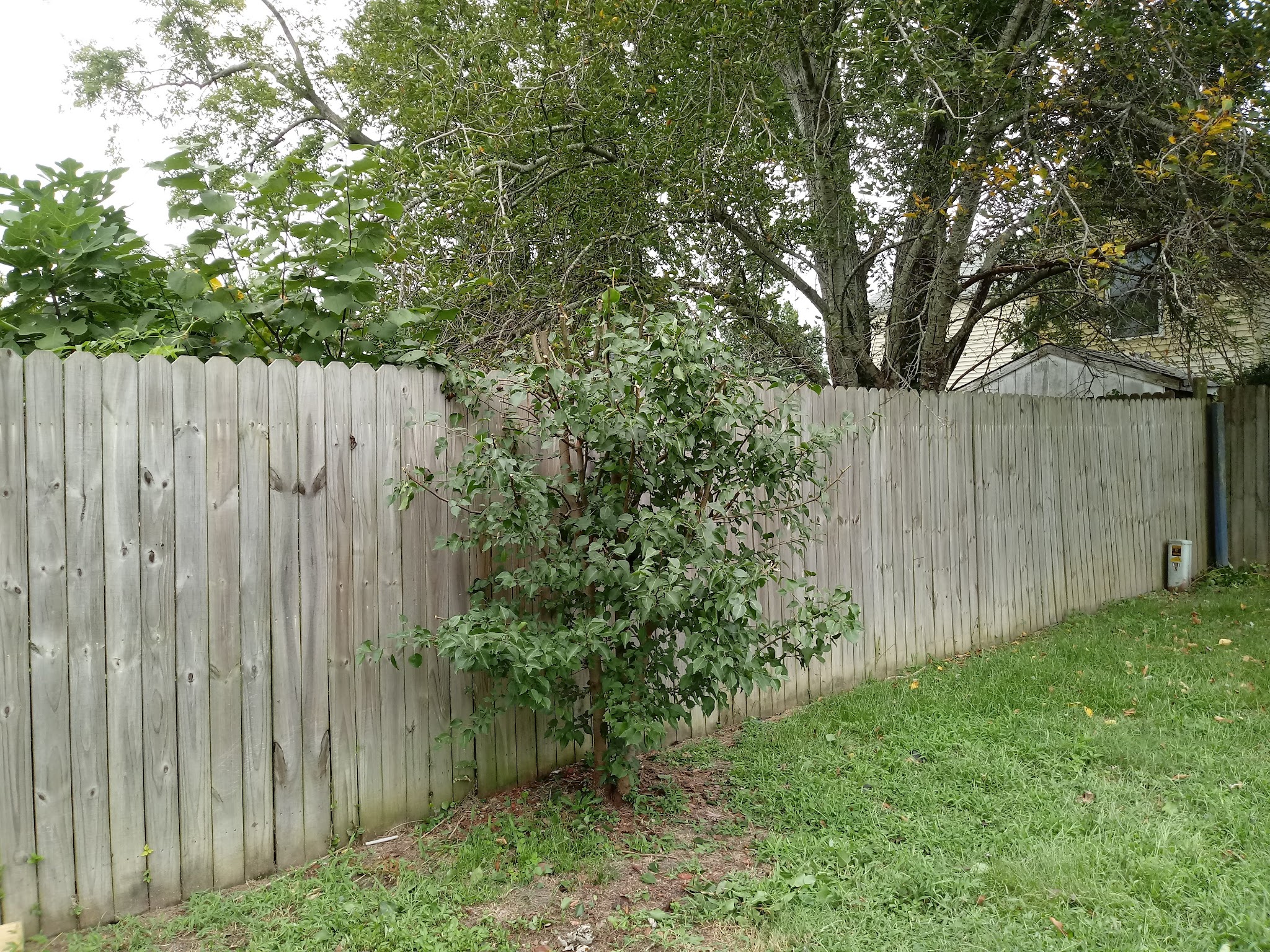 Dunwoody Park - Virginia Beach, VA