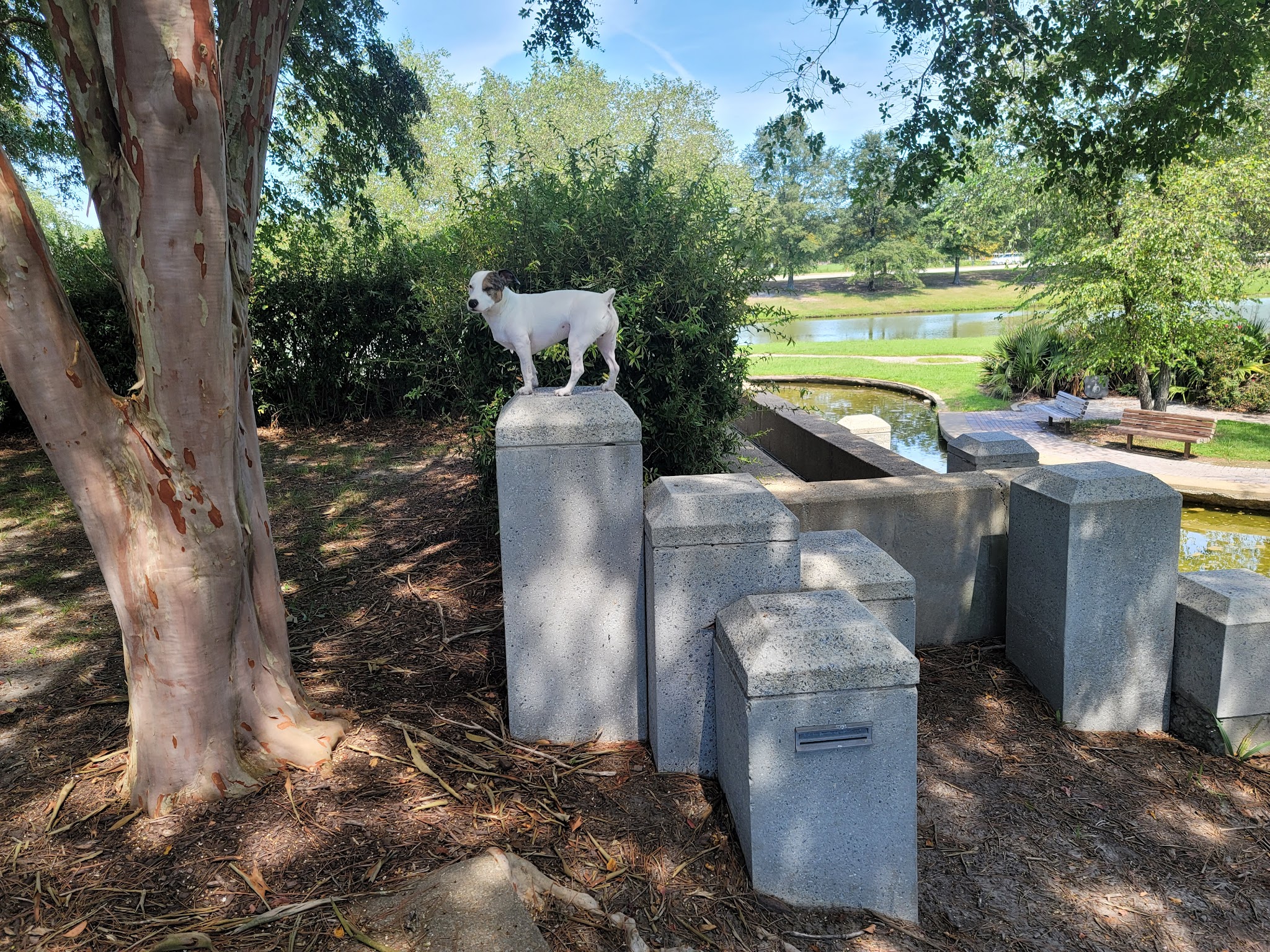 Dunwoody Park - Virginia Beach, VA