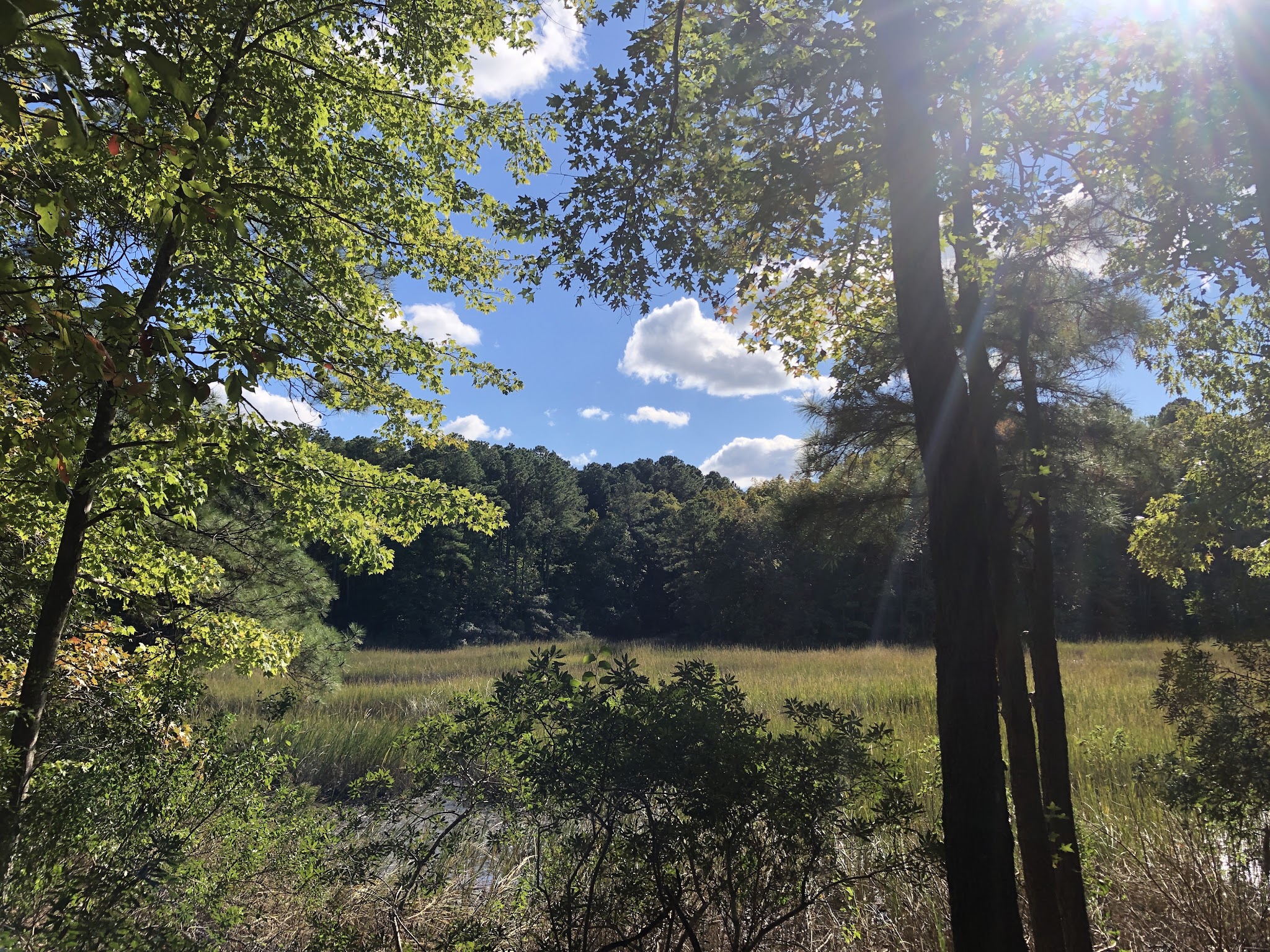 Marshview Park - Virginia Beach, VA