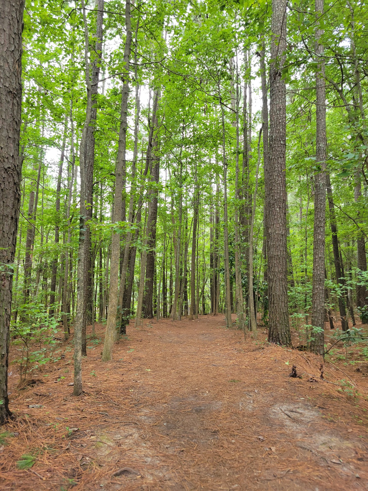 Marshview Park (Southside) - Virginia Beach, VA
