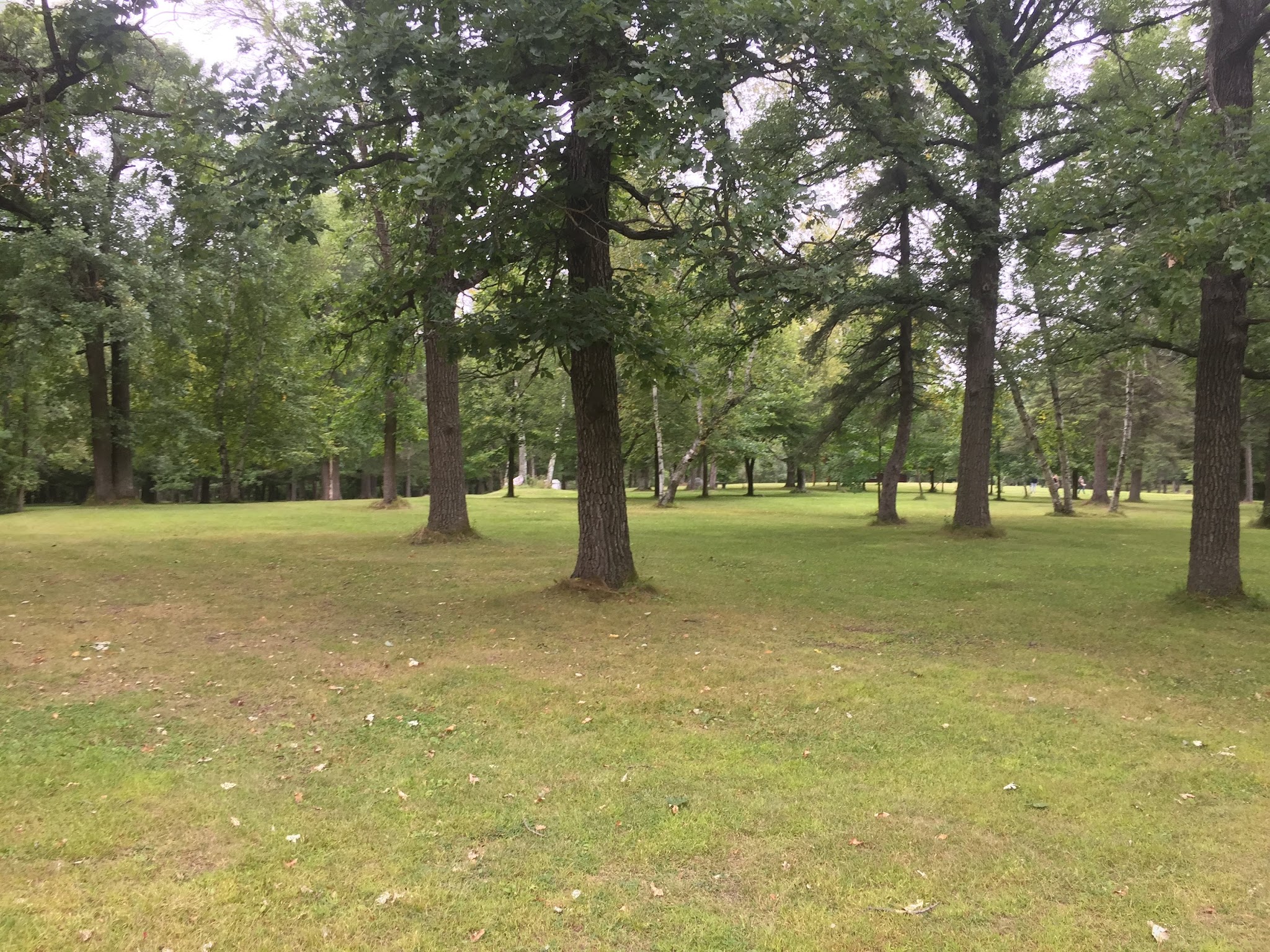 Blacks Grove Park - Wadena, MN