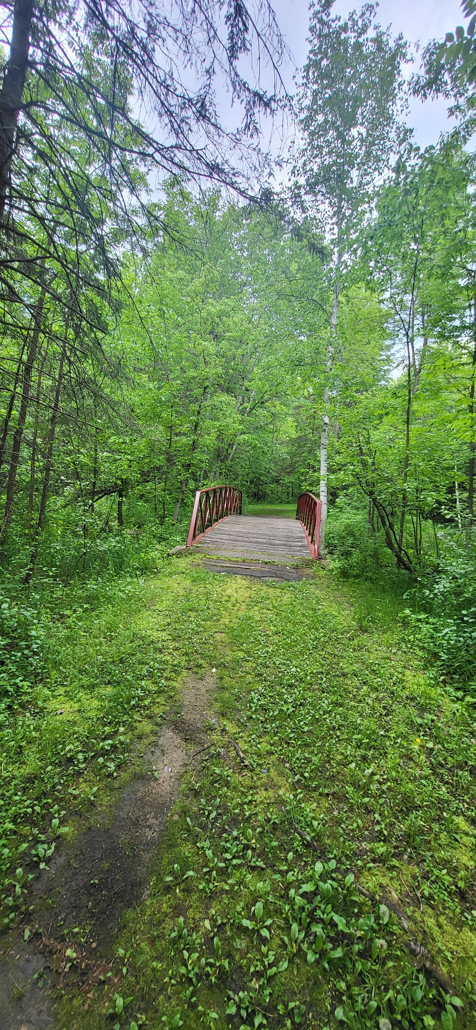 Blacks Grove Park - Wadena, MN