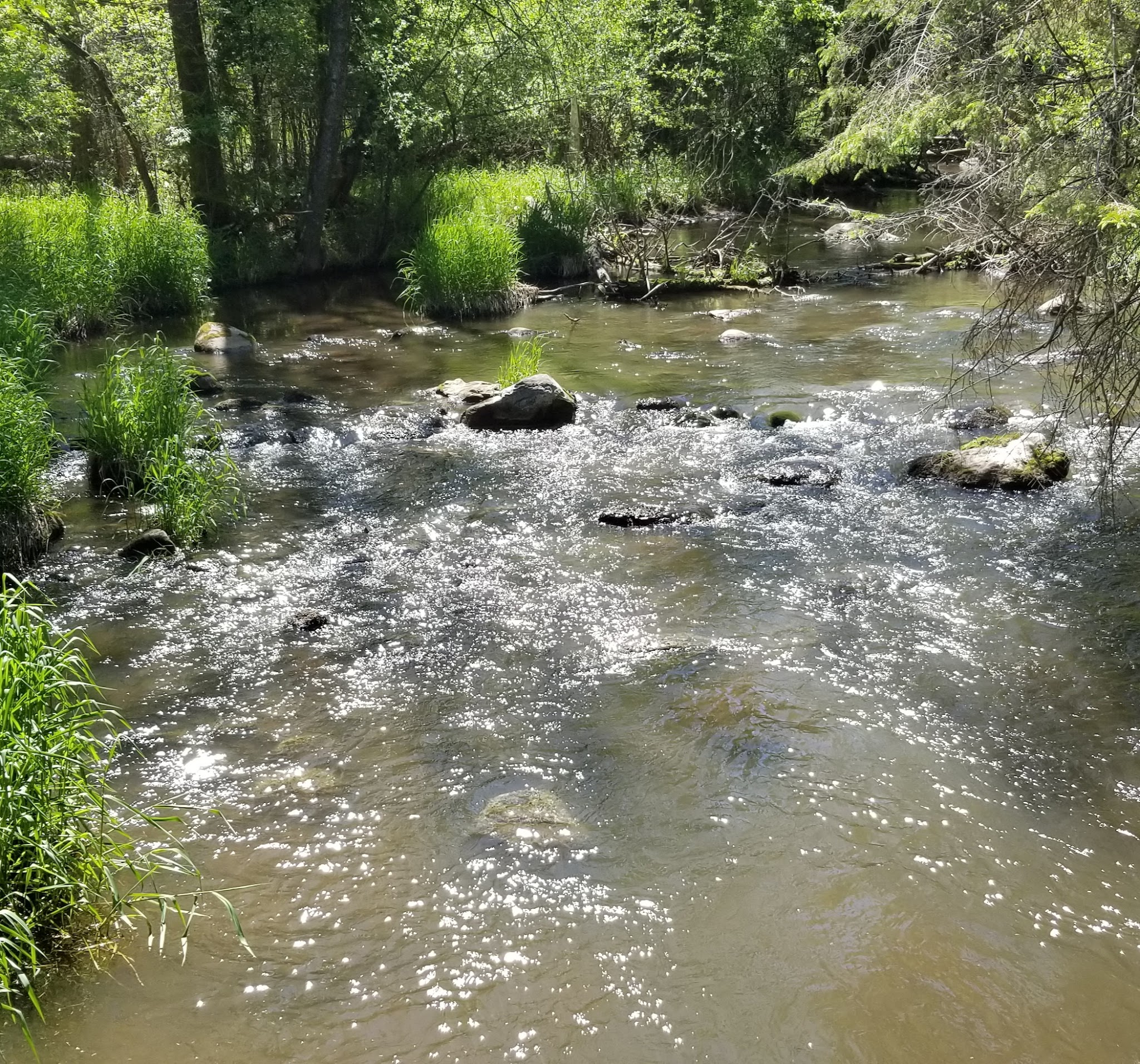 Blacks Grove Park - Wadena, MN