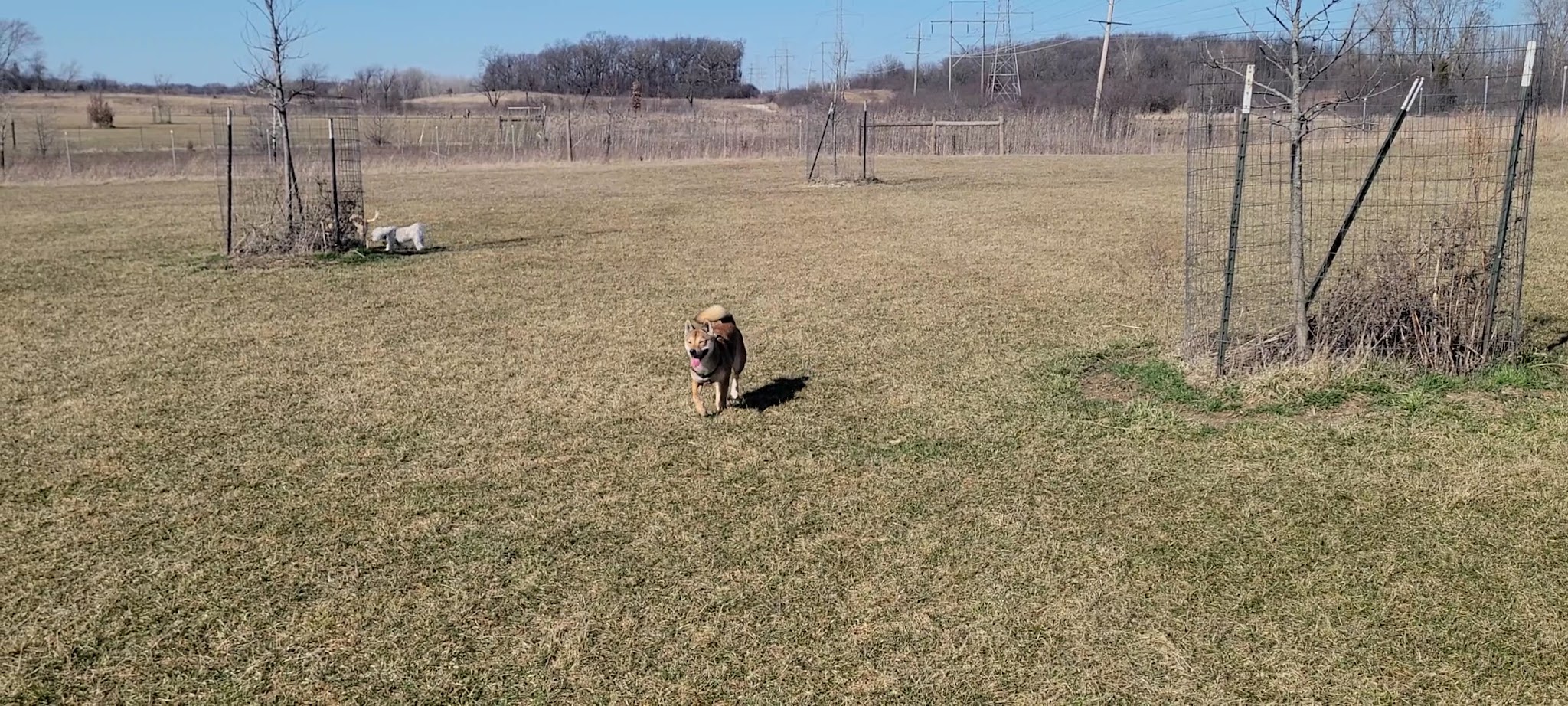 Waukegan Savanna Forest Preserve - Wadsworth, IL