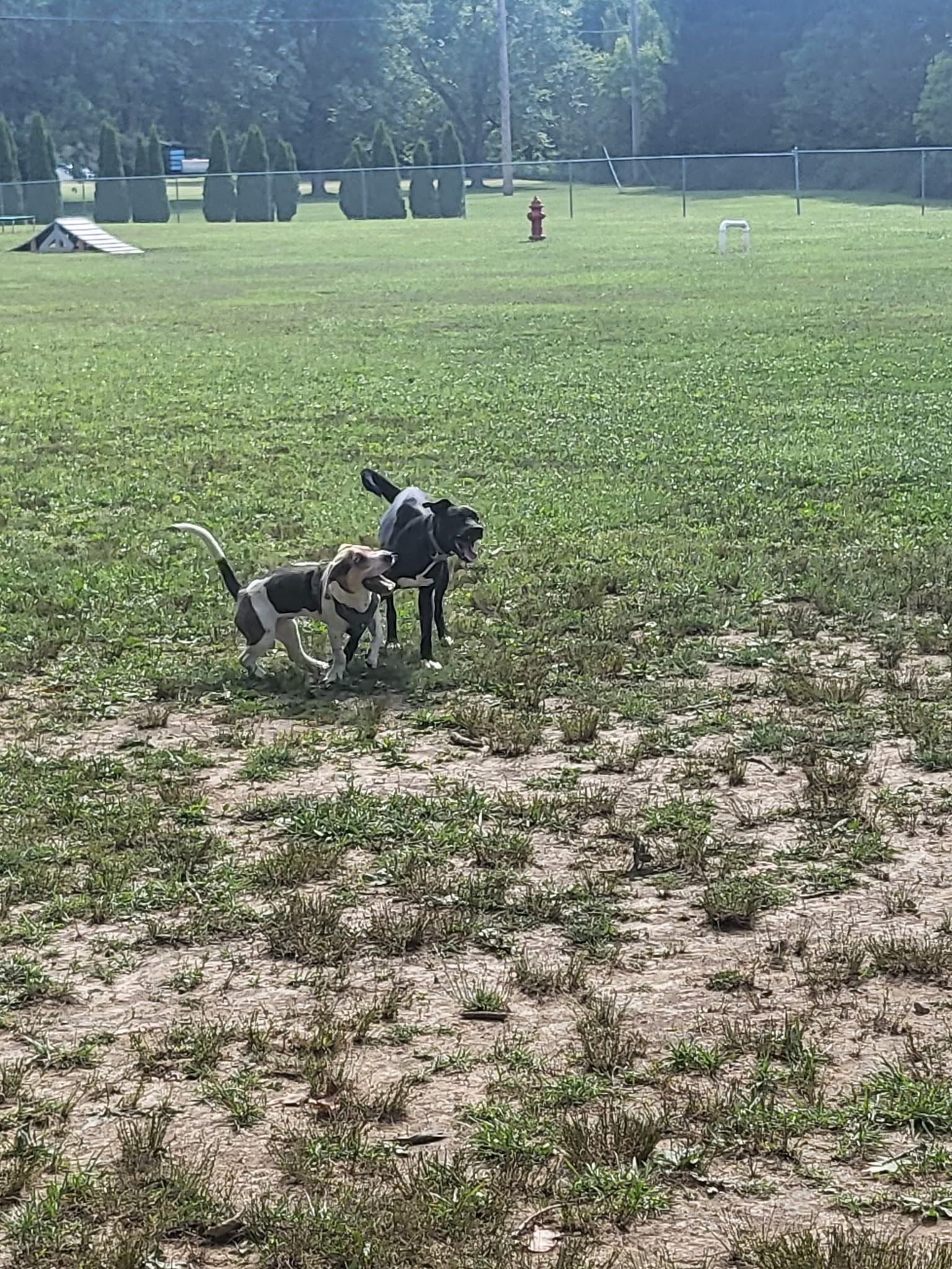 Wadsworth Community Dog Park - Wadsworth, OH