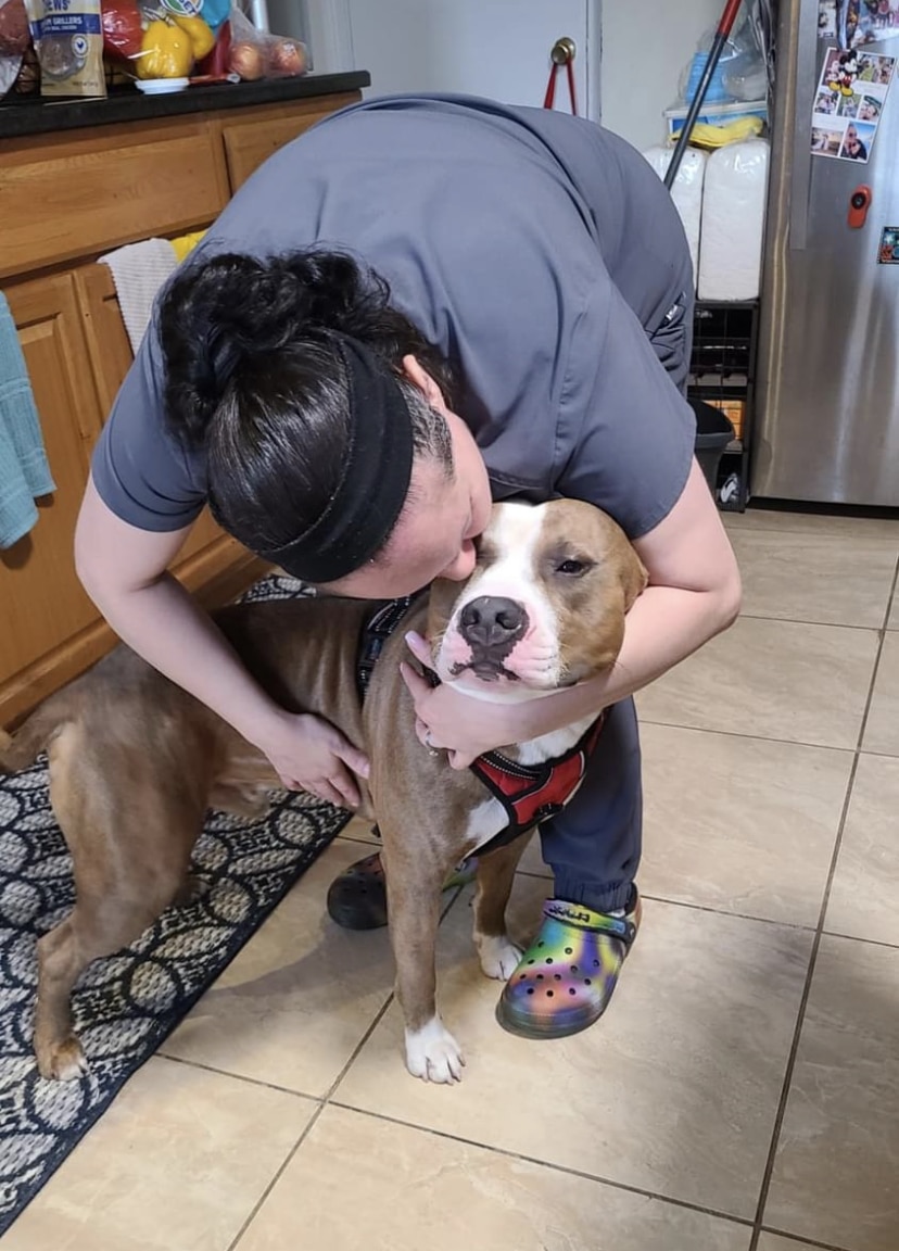 Waggin'Tails Pet Services by Lisa - ,