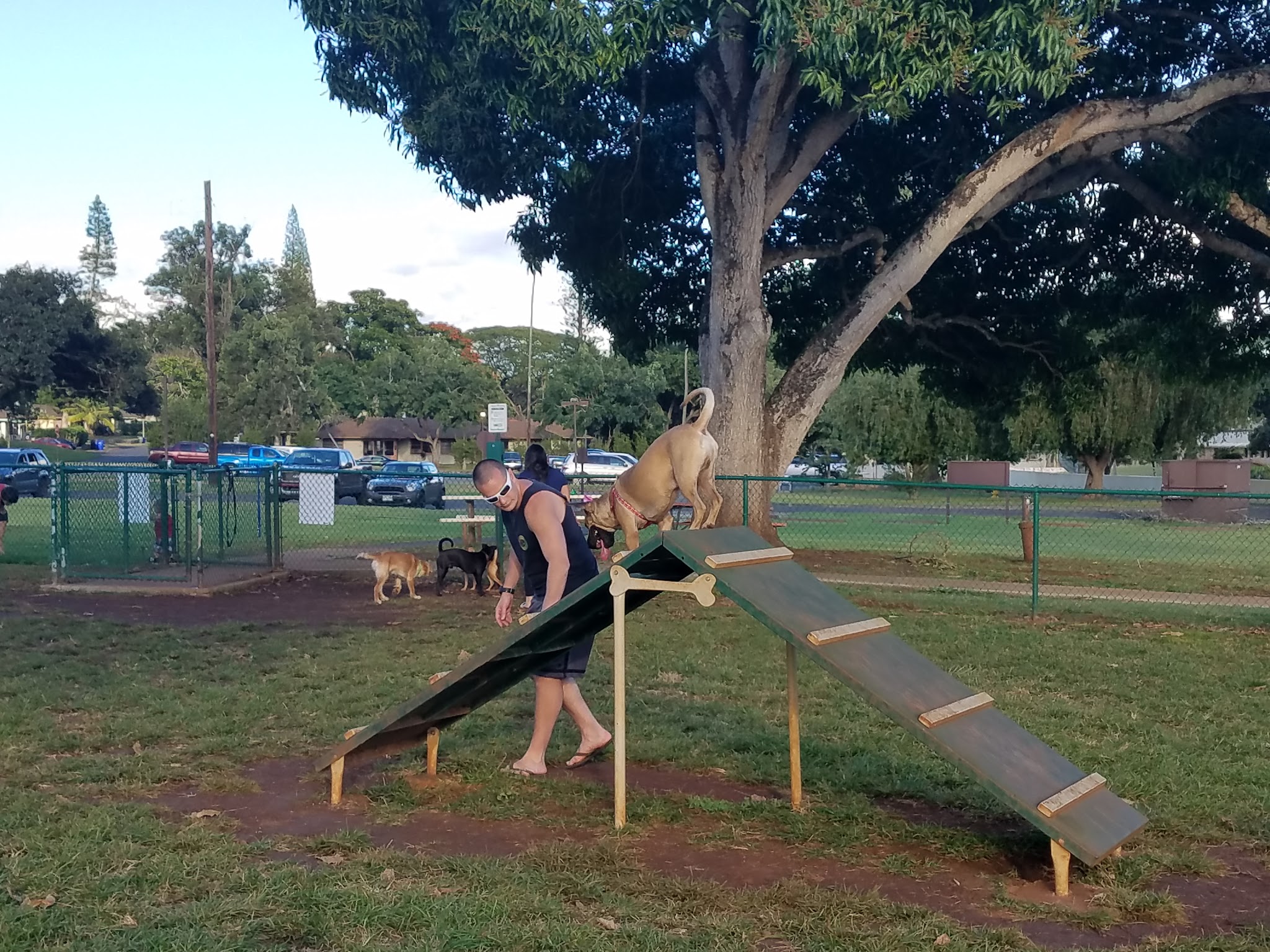 Wheeler Dog Park - Wahiawa, HI