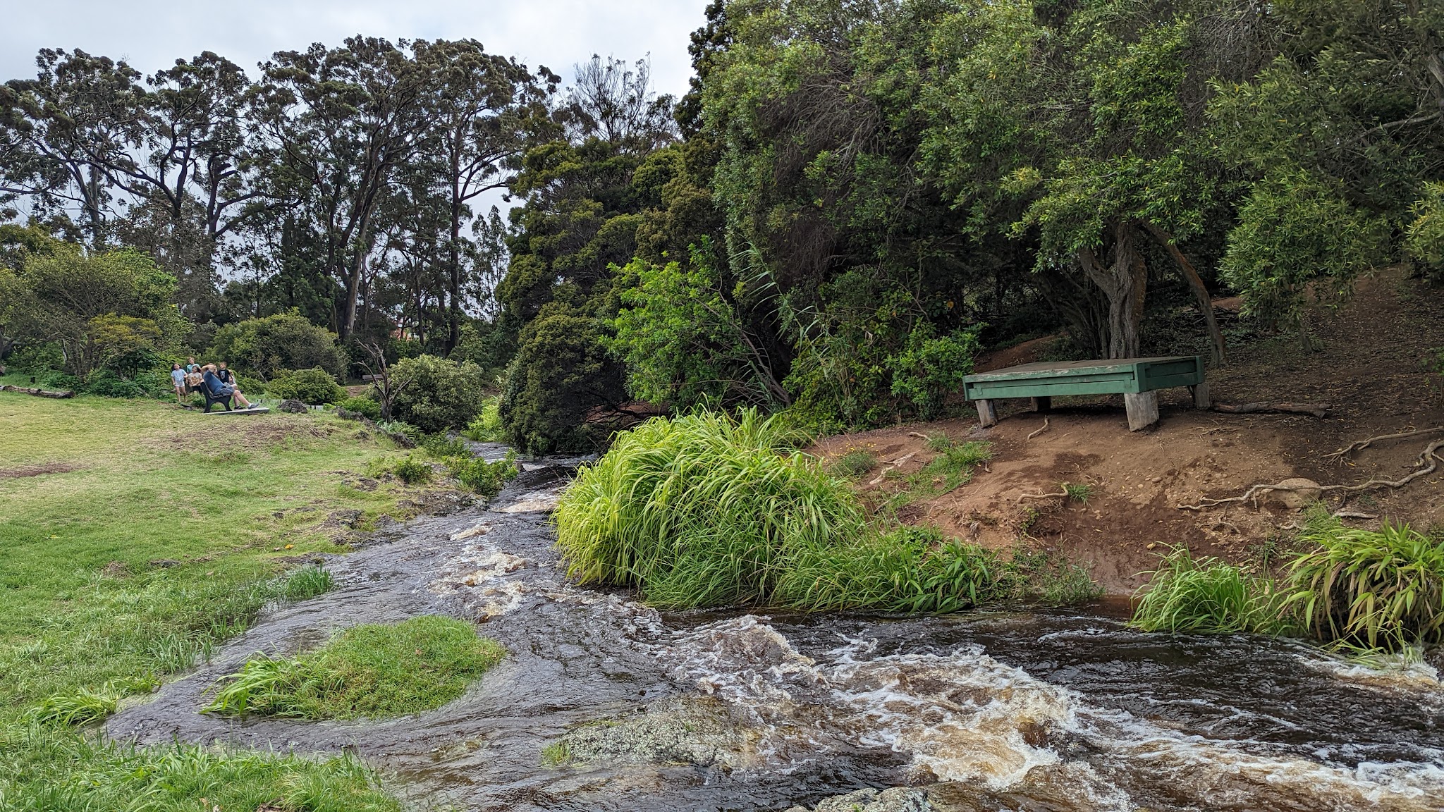 Ulu La‘au (Waimea Nature Park) - Waimea, HI