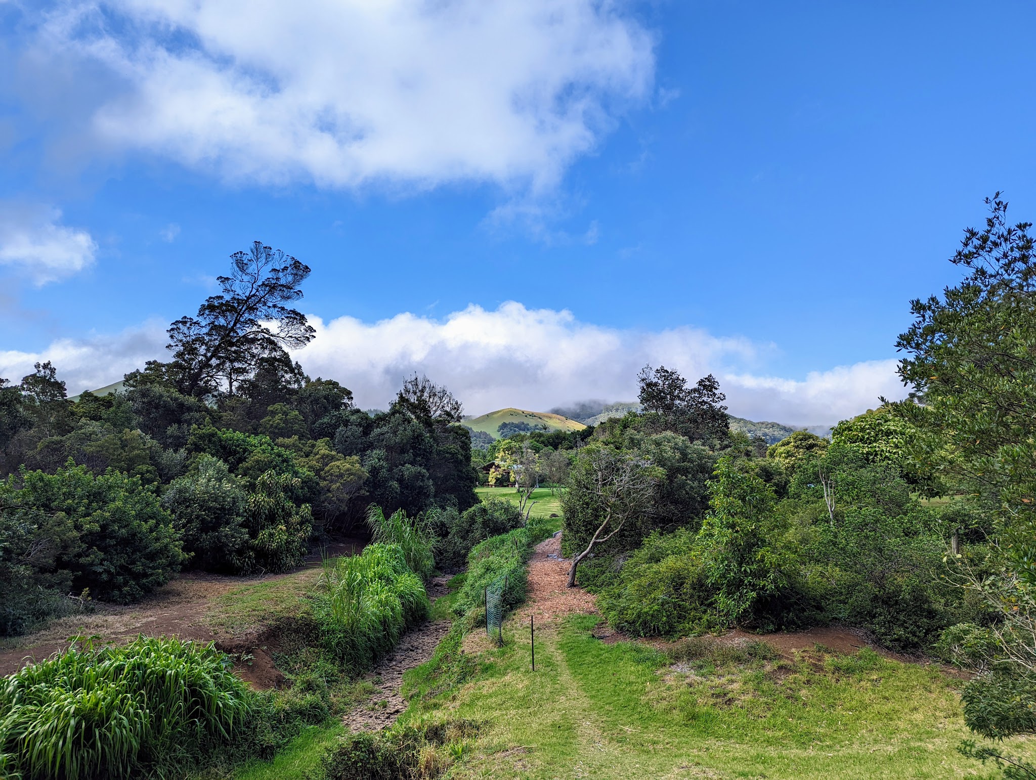Ulu La‘au (Waimea Nature Park) - Waimea, HI