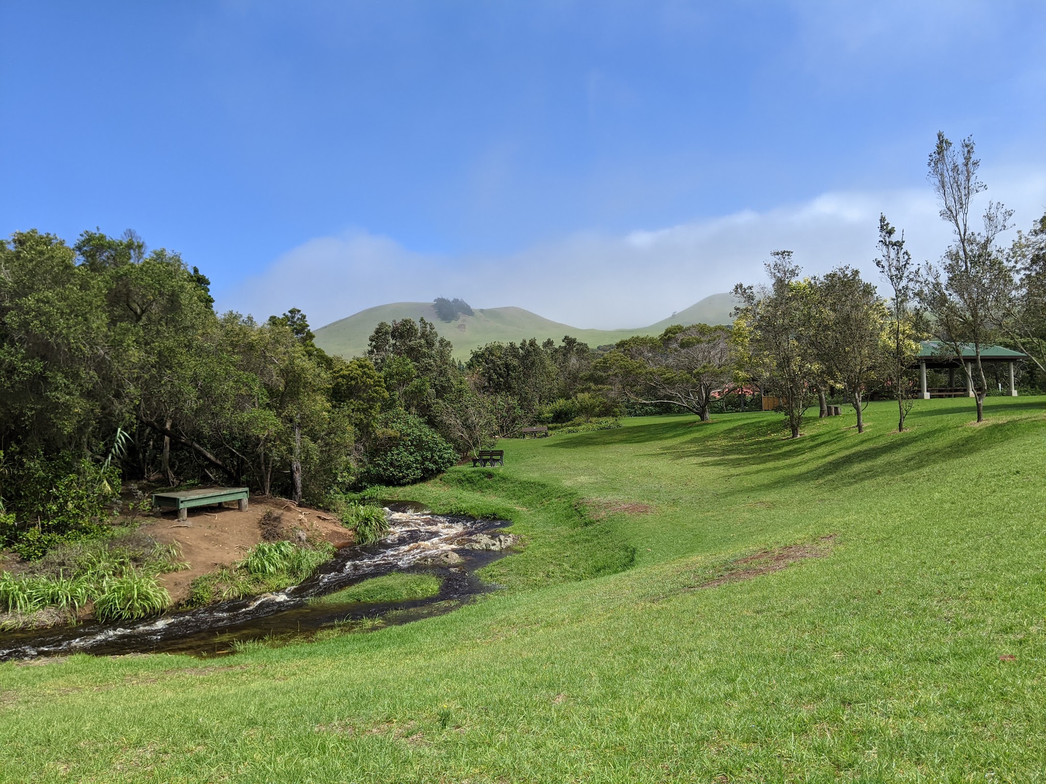 Ulu La‘au (Waimea Nature Park) - Waimea, HI